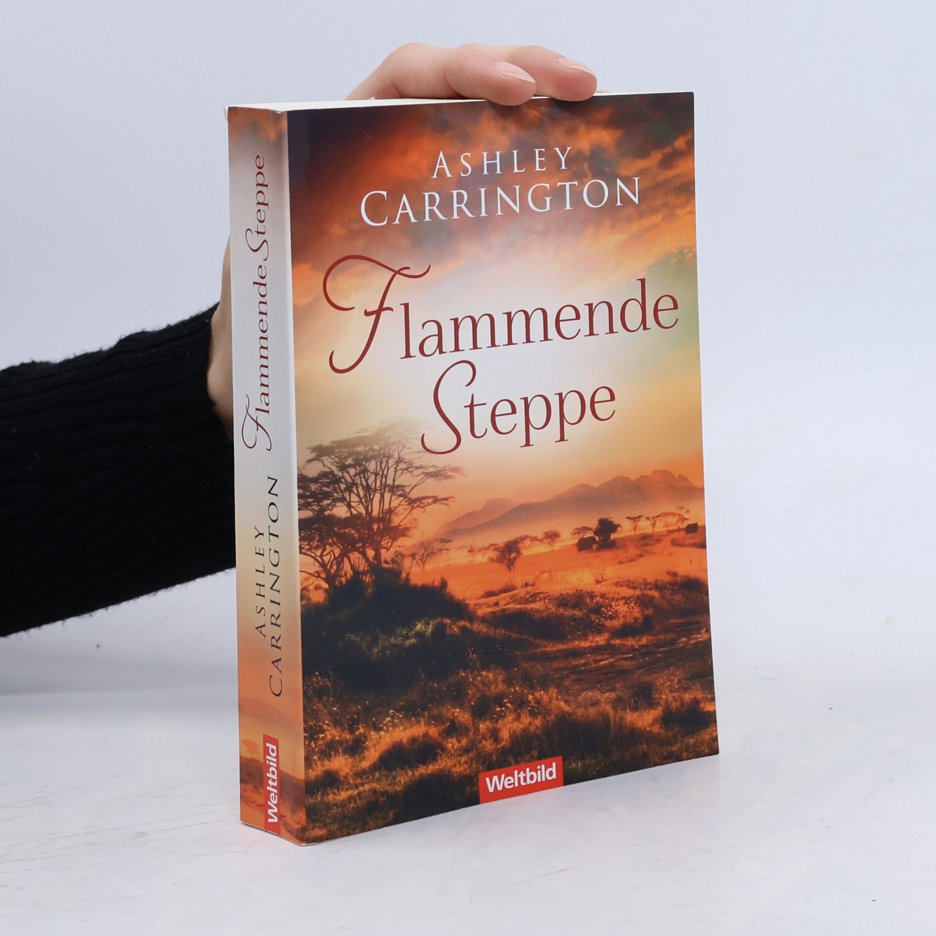 Rainer M. Schröder Flammende Steppe