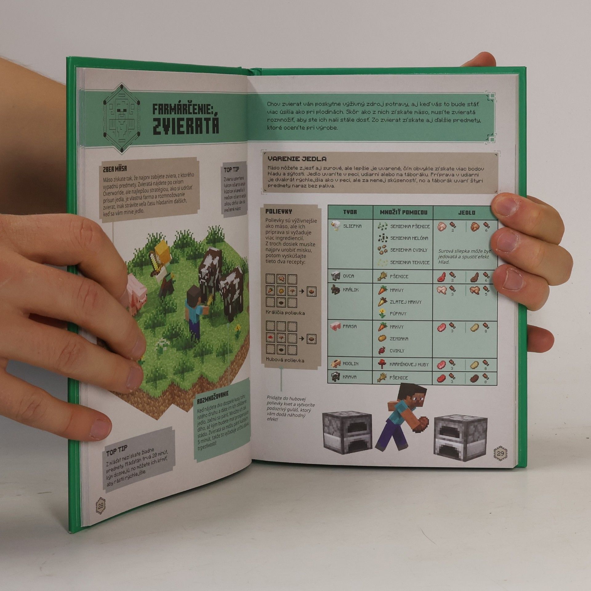 Autorenkollektiv Minecraft - Príručka prežitia