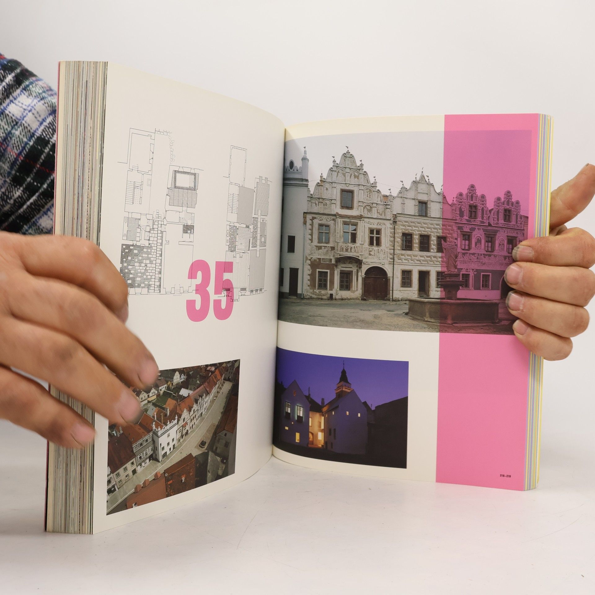 Rostislav Švácha Česká architektura a její přísnost