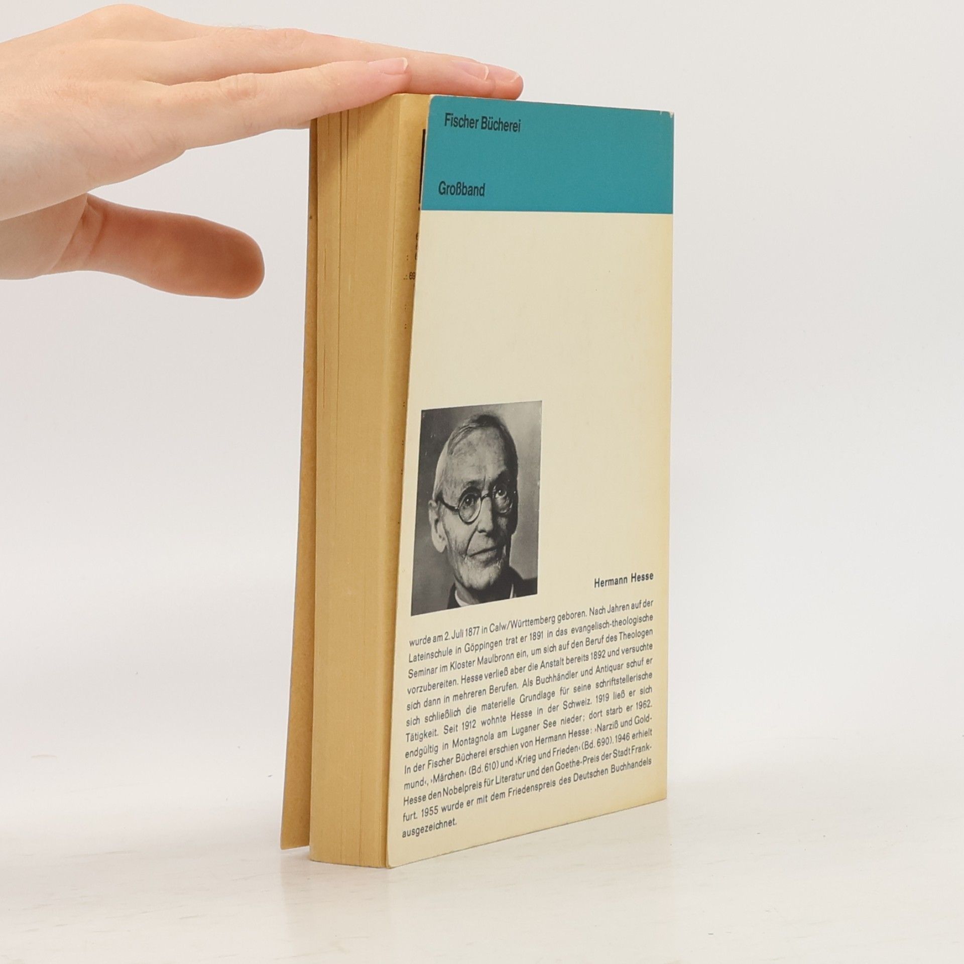 Hermann Hesse Narziss und Goldmund