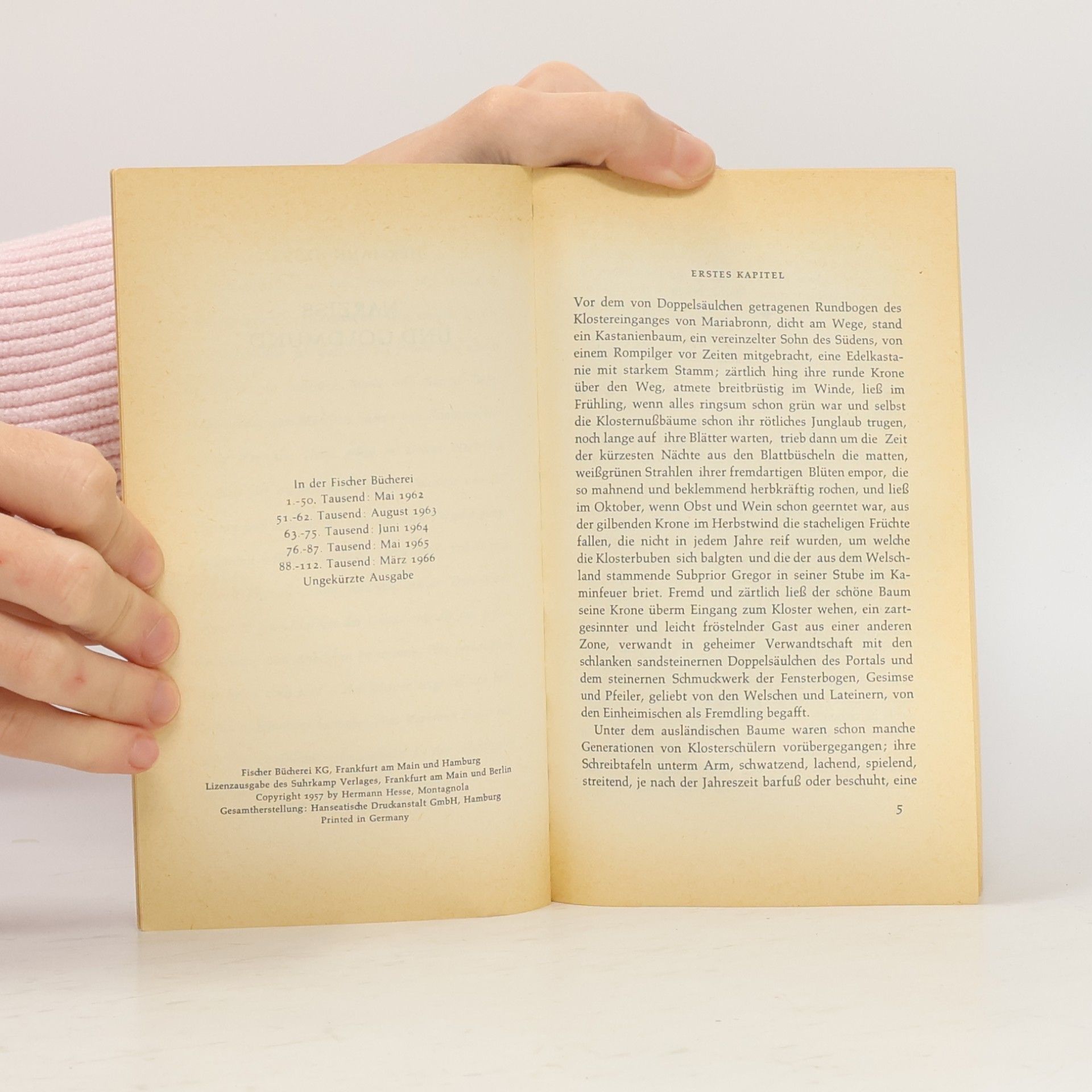 Hermann Hesse Narziss und Goldmund