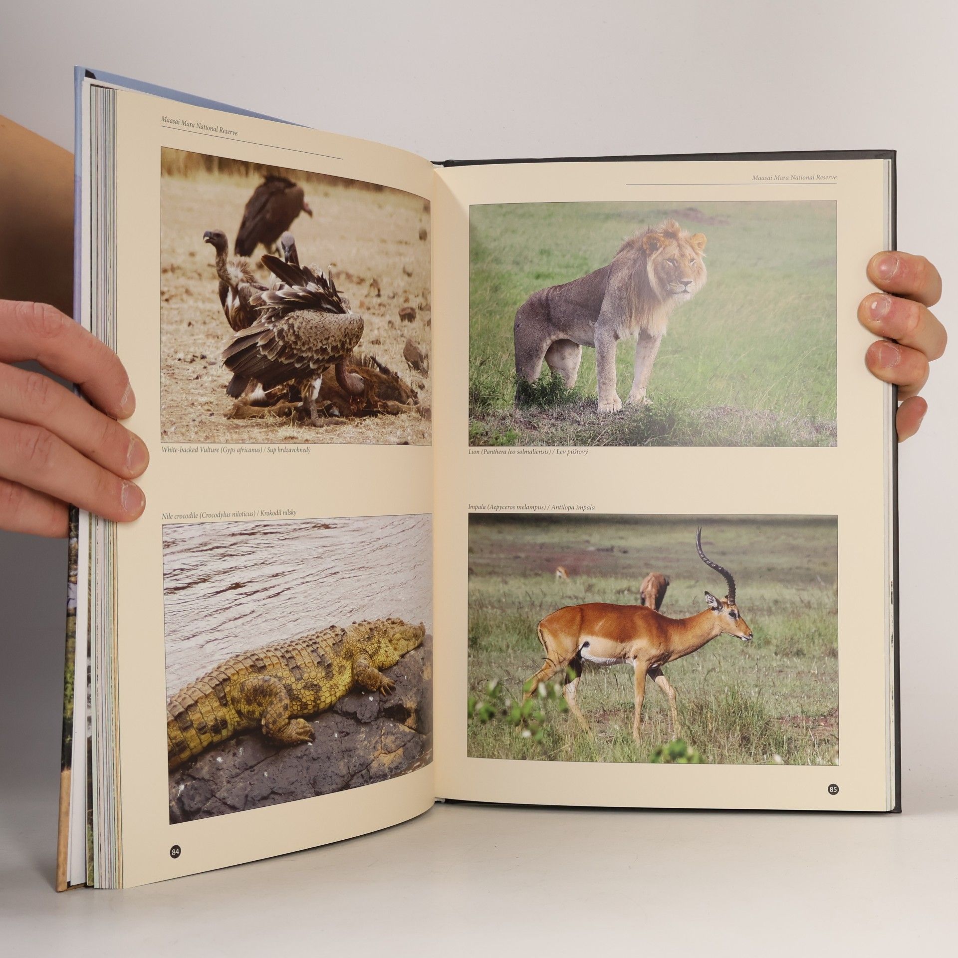 Milan Zachar Beauty and Wonder in the Wilds of Kenya