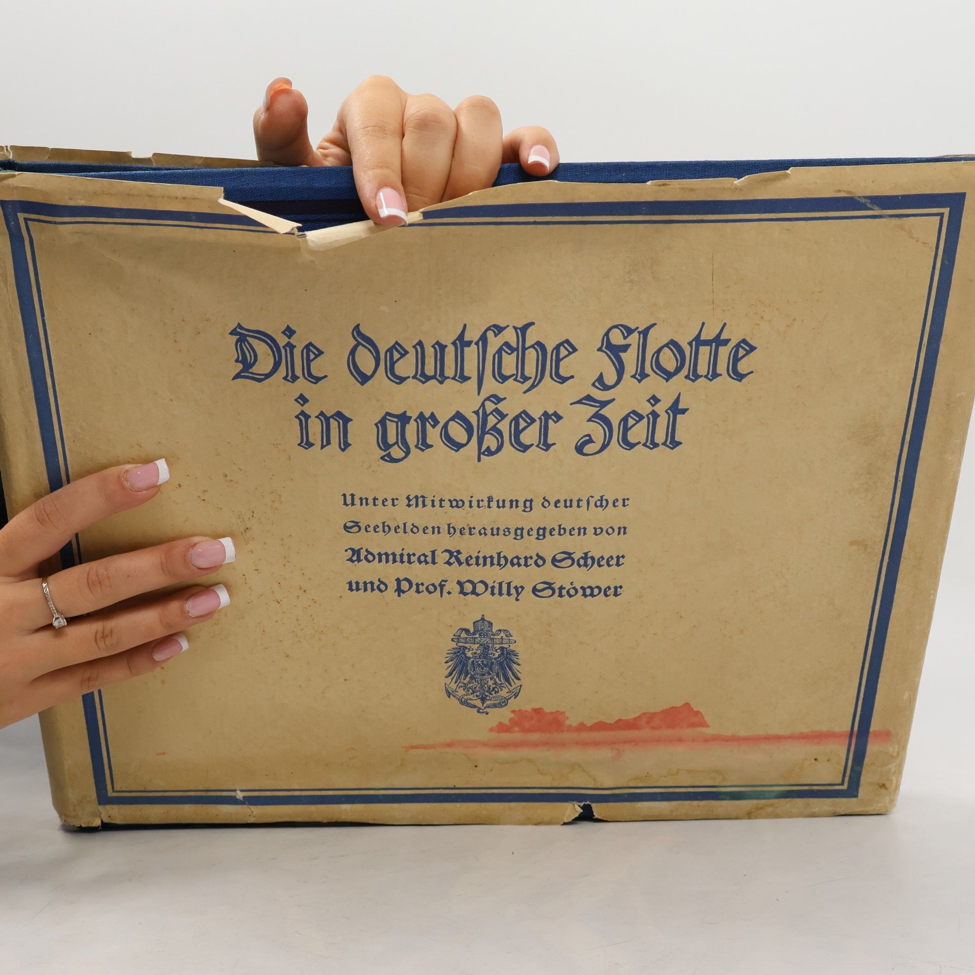 Reinhard Scheer Die deutsche Flotte in großer Zeit