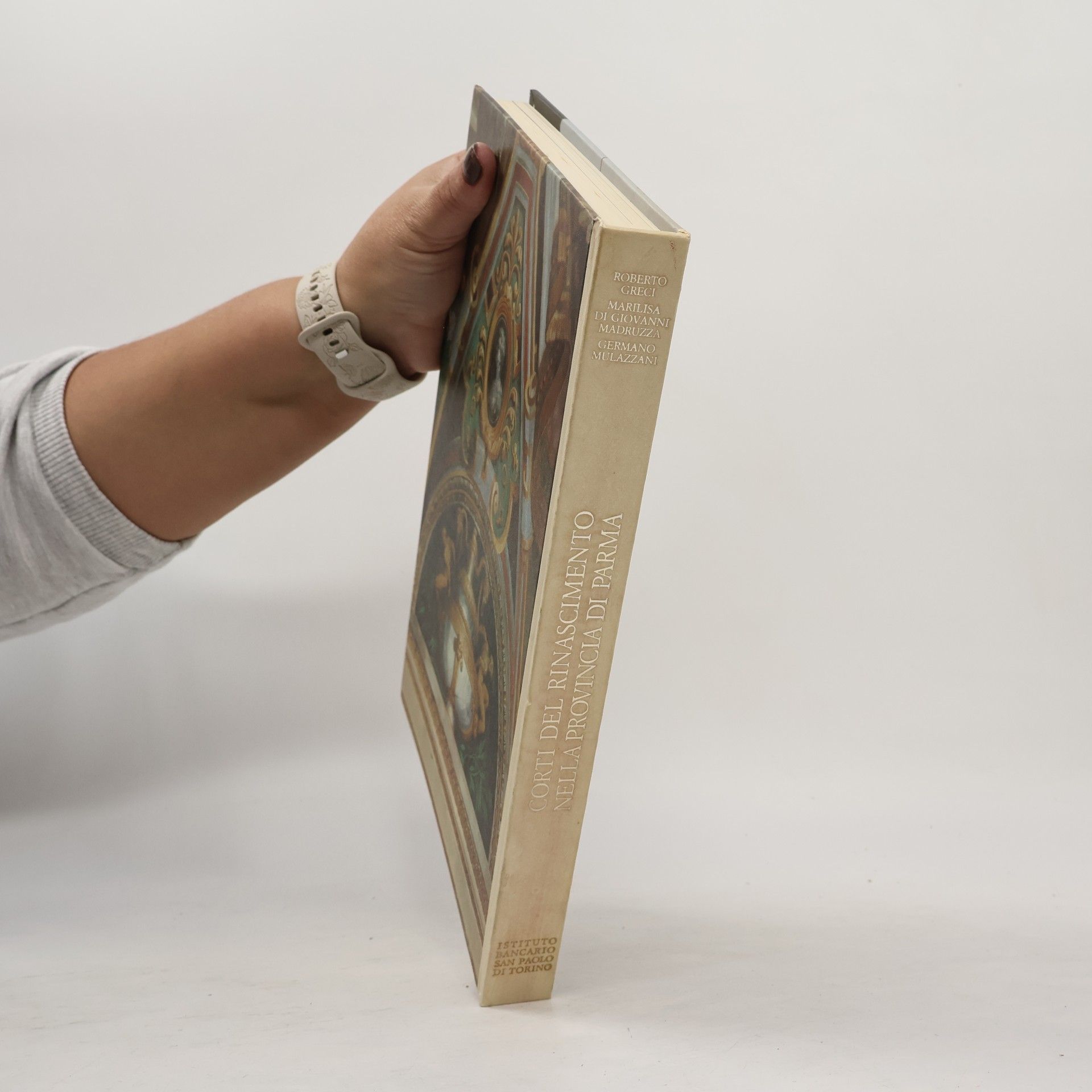 Various authors Corti del rinascimento nella provincia di Parma
