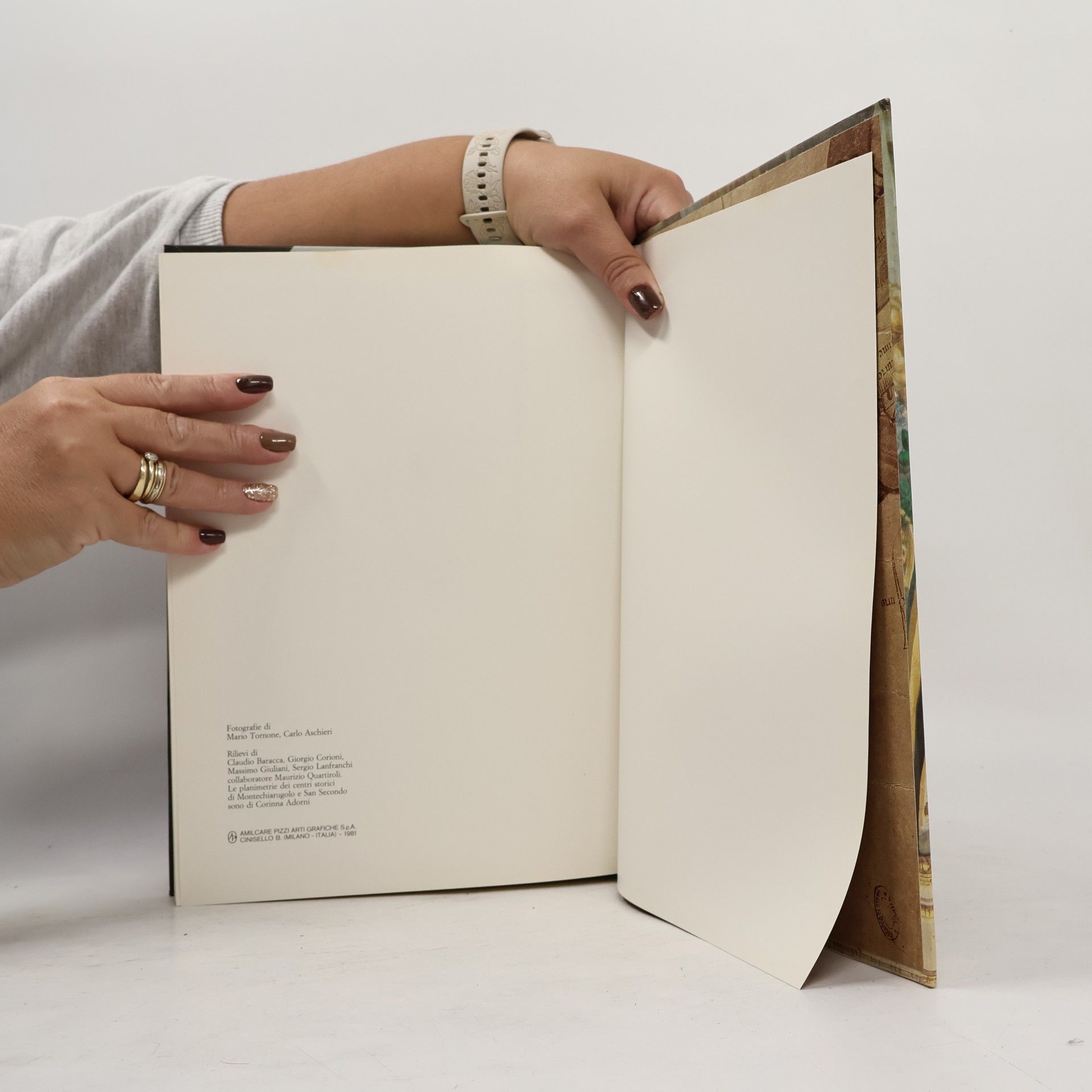Various authors Corti del rinascimento nella provincia di Parma