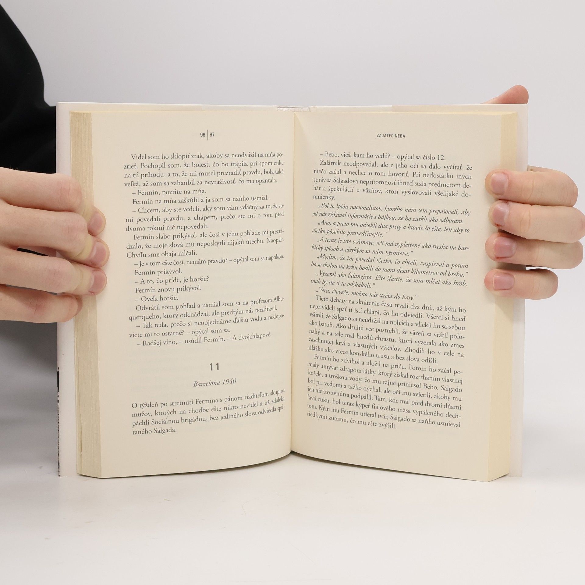 Carlos Ruiz Zafón Zajatec neba