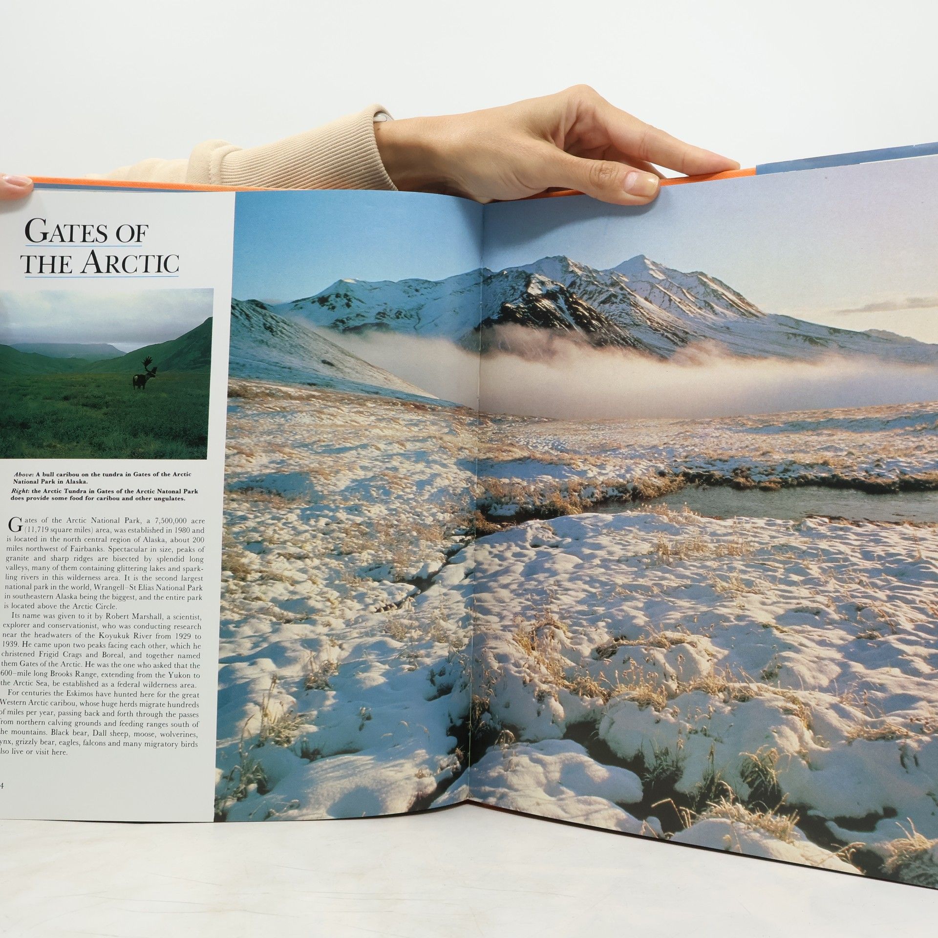 Thomas G. Aylesworth America's National Parks