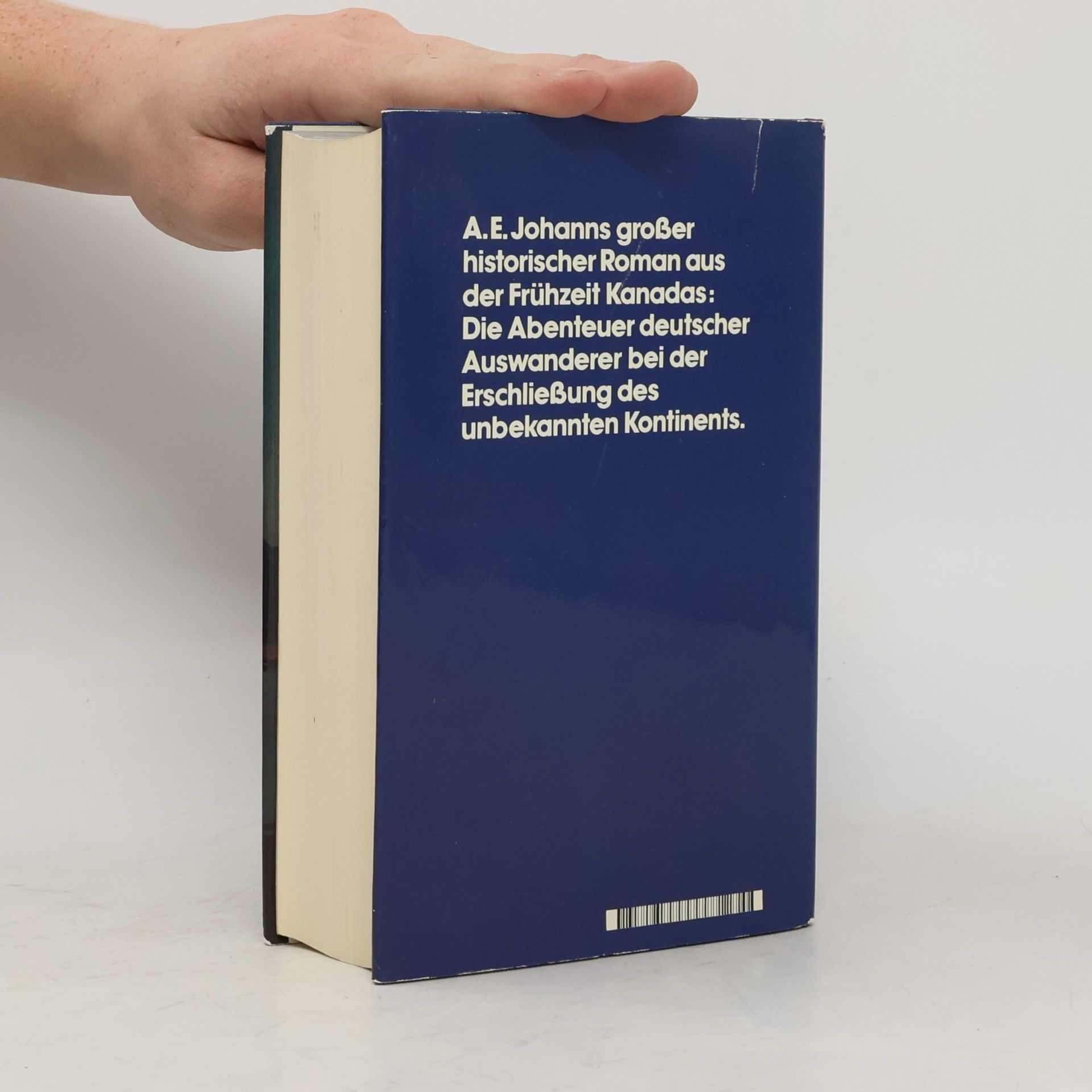 Alfred E. Johann Ans dunkle Ufer
