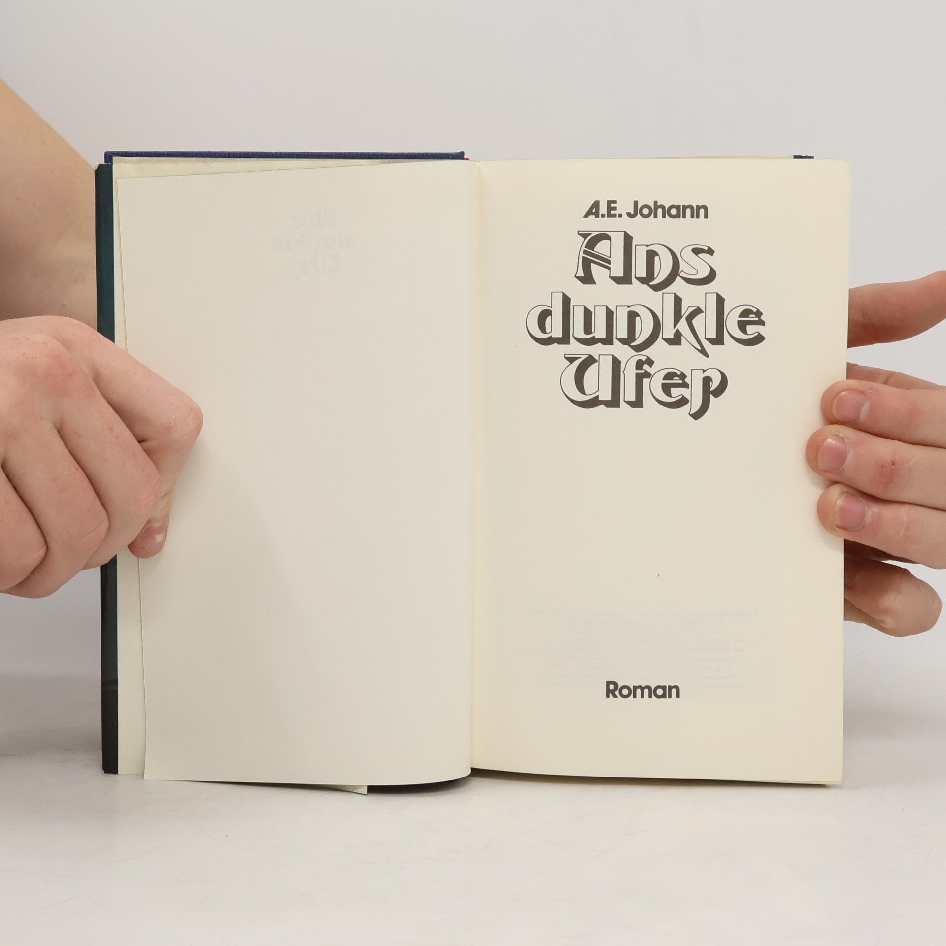 Alfred E. Johann Ans dunkle Ufer