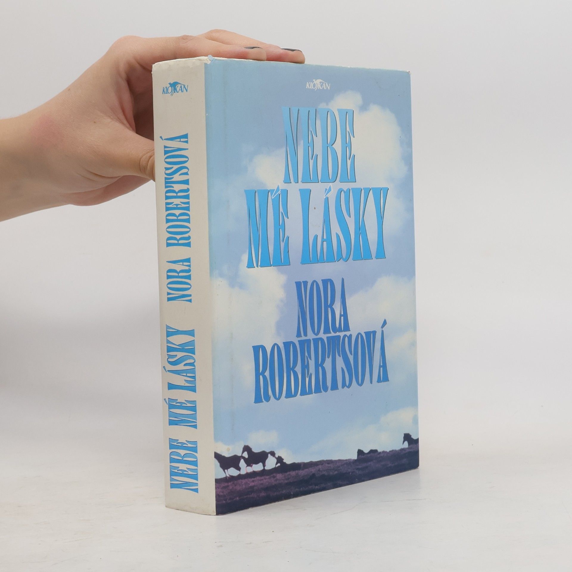 Nora Roberts Nebe mé lásky