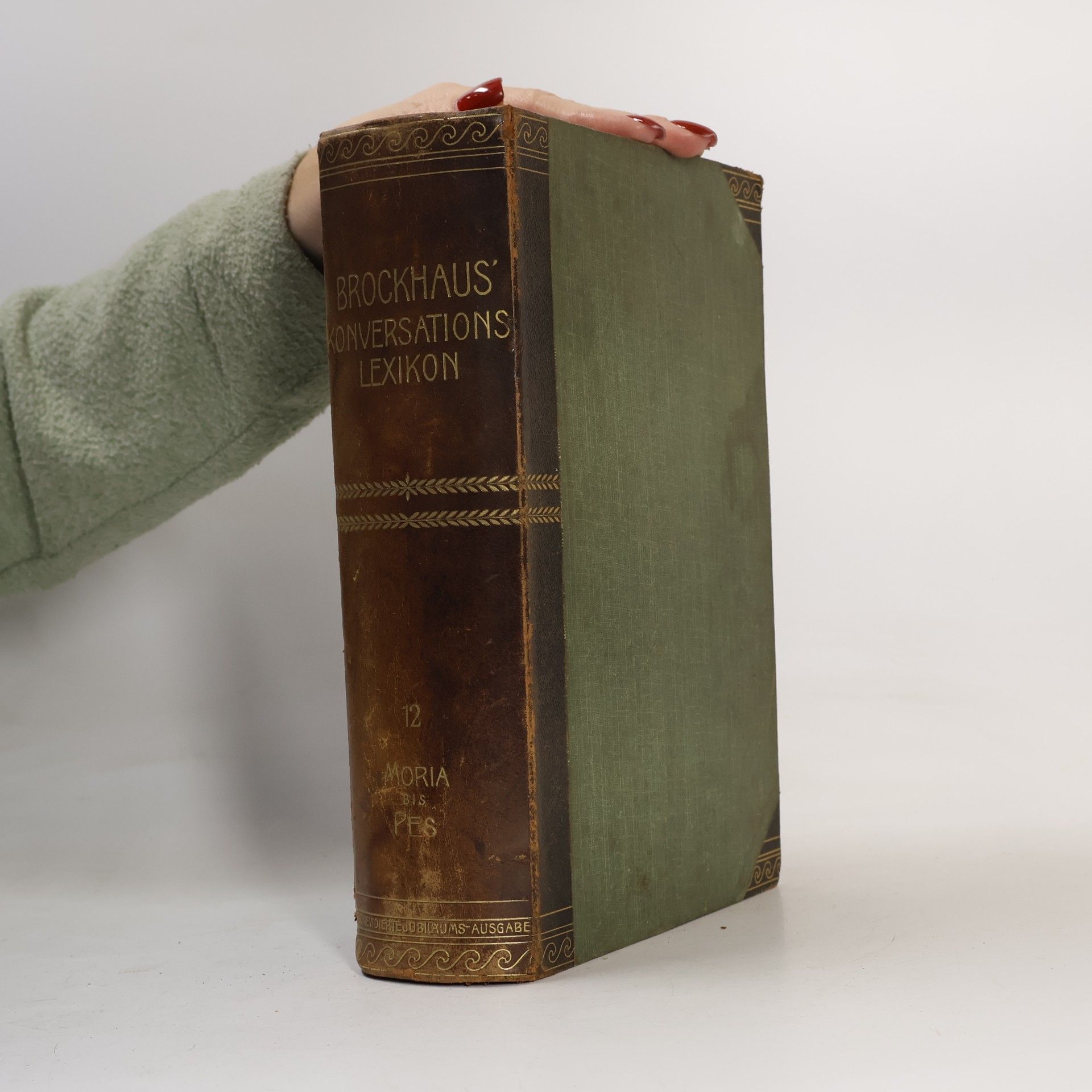 Various authors Brockhaus' Konversations-Lexikon 12