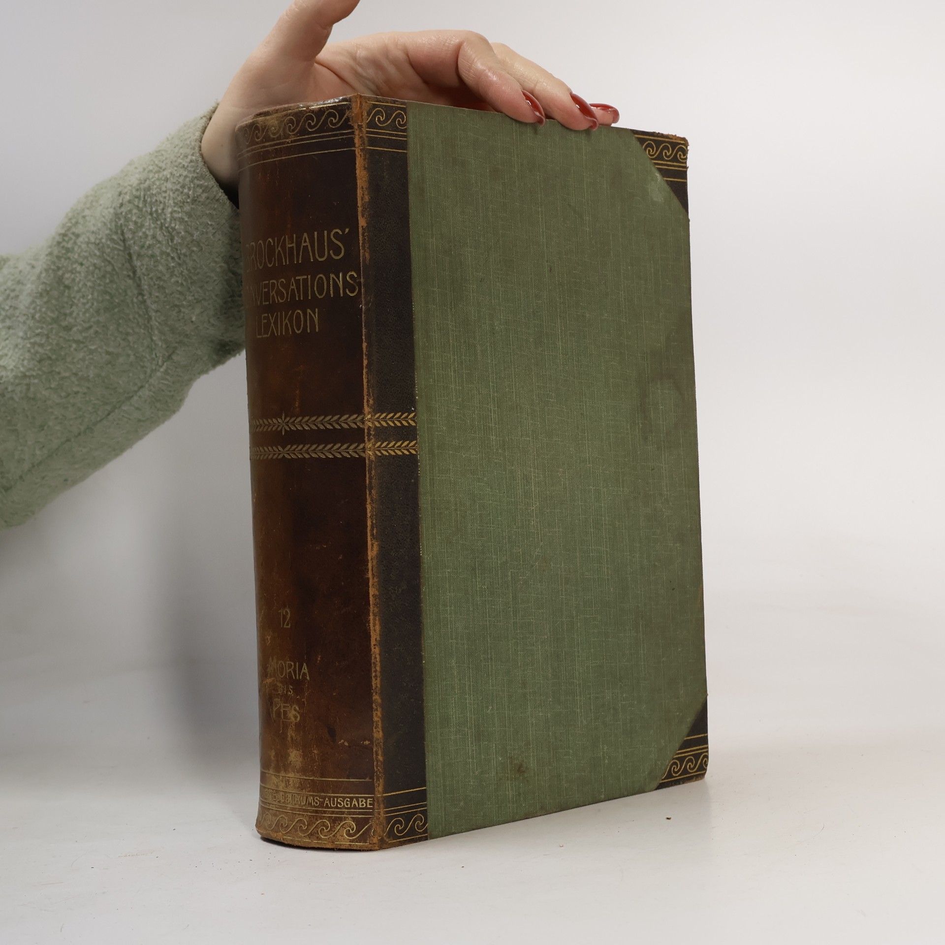 Various authors Brockhaus' Konversations-Lexikon 12
