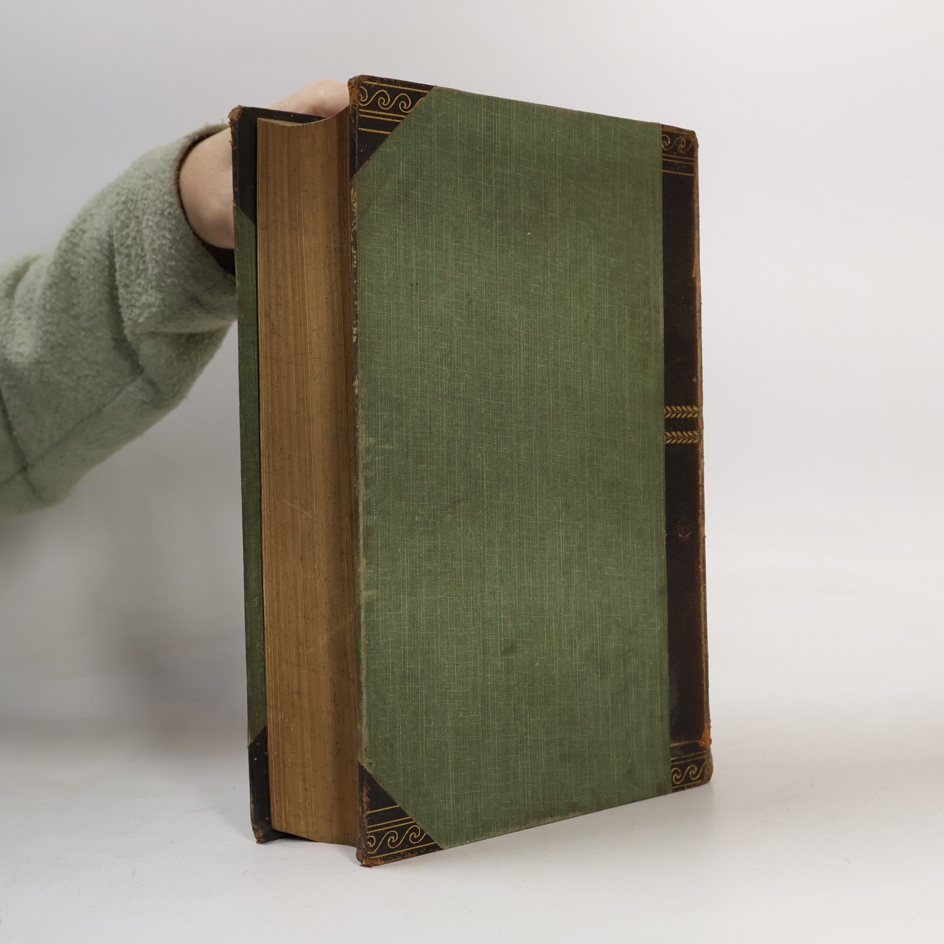 Various authors Brockhaus' Konversations-Lexikon 12