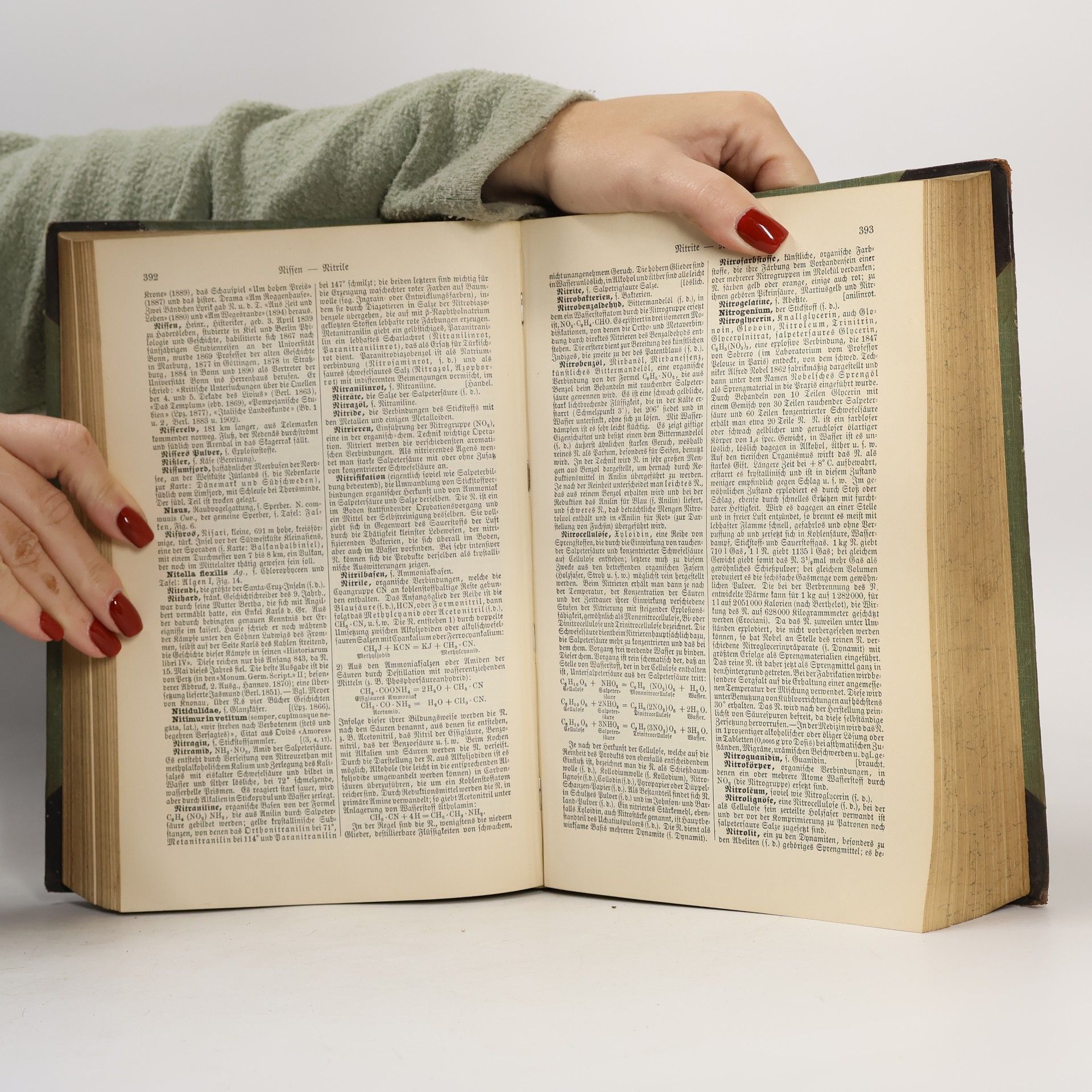 Various authors Brockhaus' Konversations-Lexikon 12
