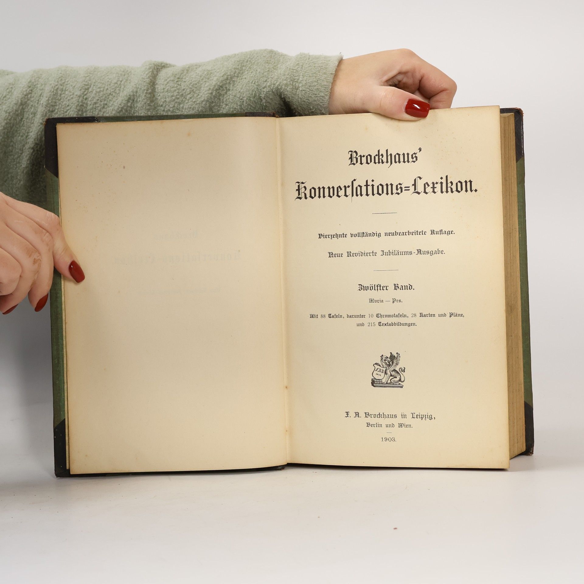 Various authors Brockhaus' Konversations-Lexikon 12