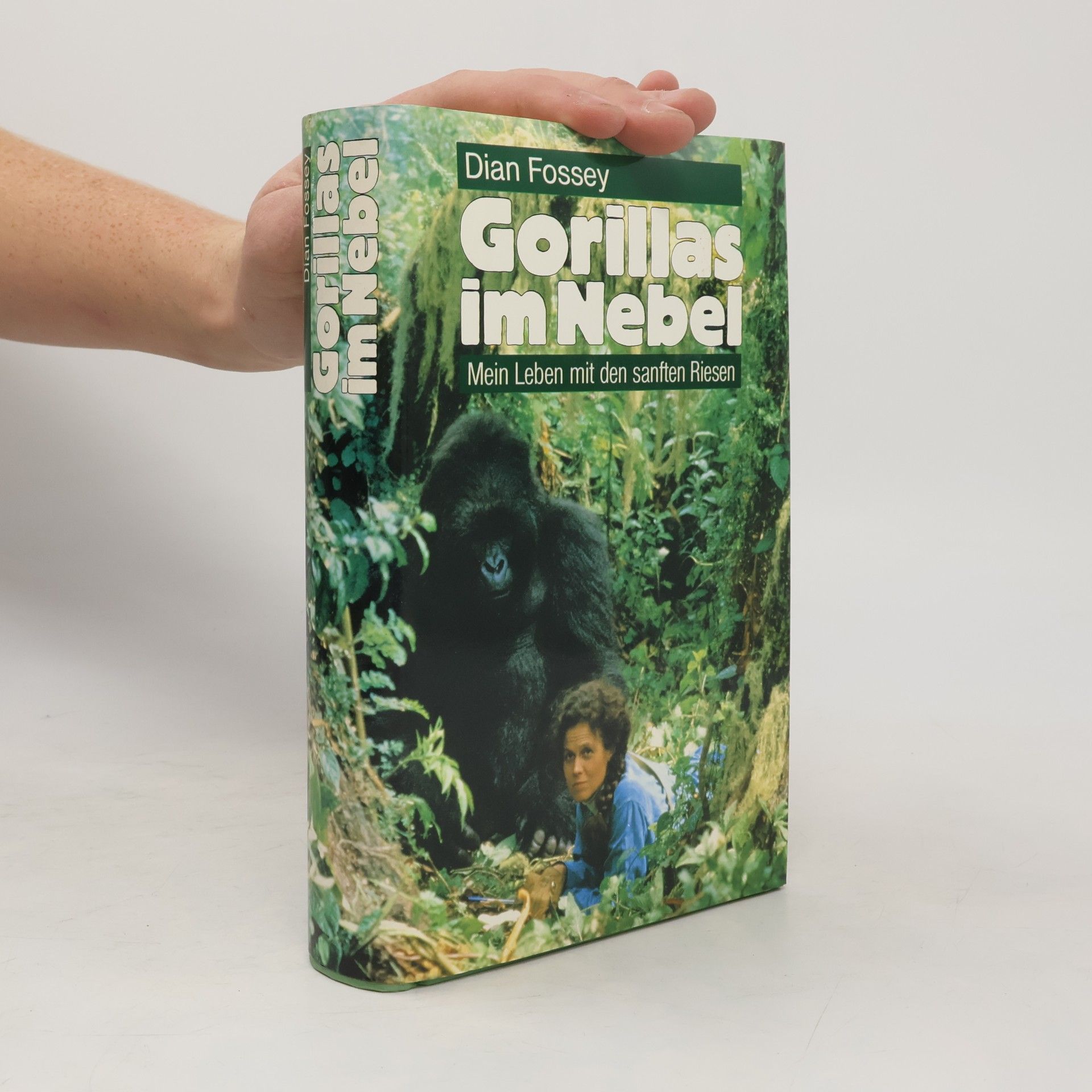 Gorillas im Nebel