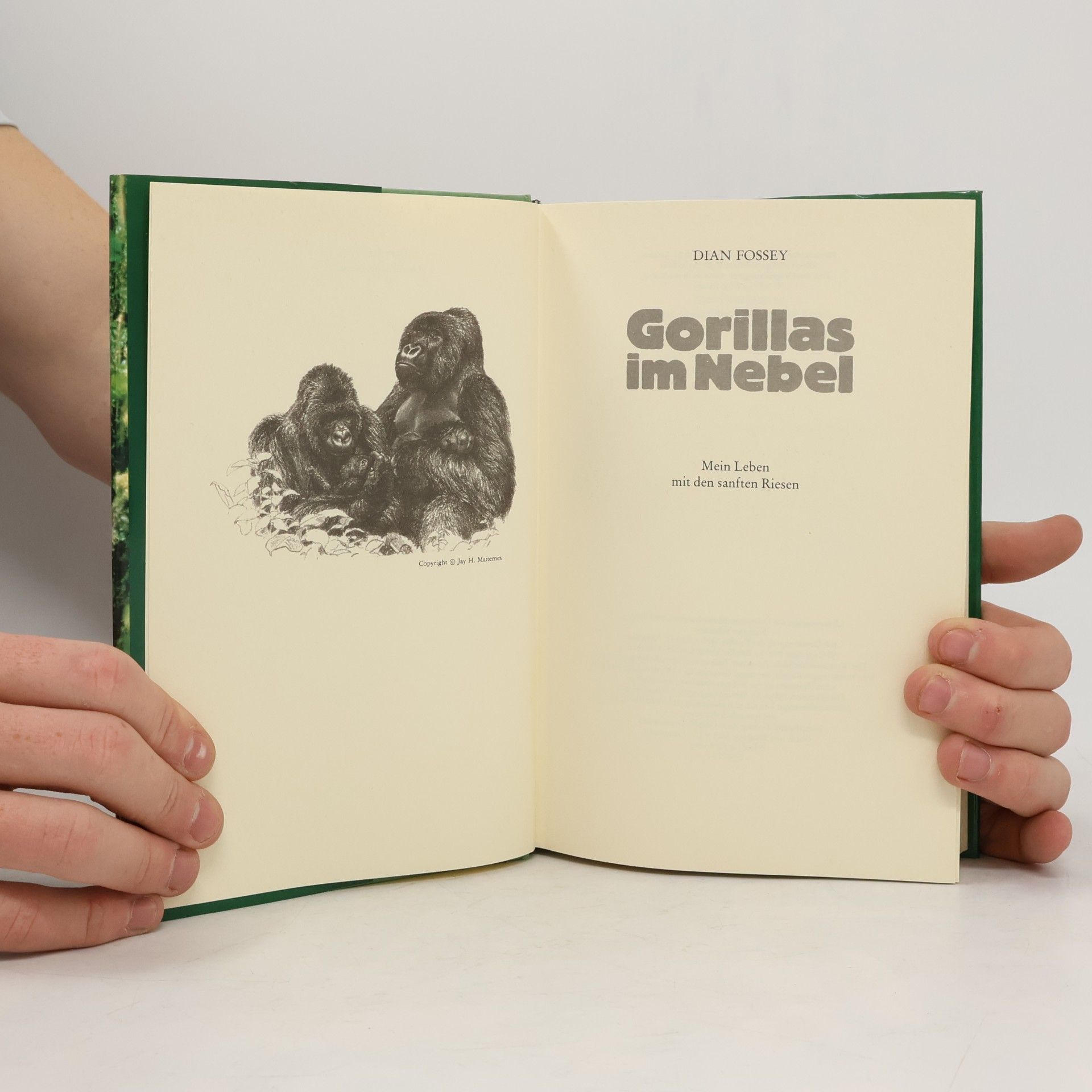 Dian Fossey Gorillas im Nebel