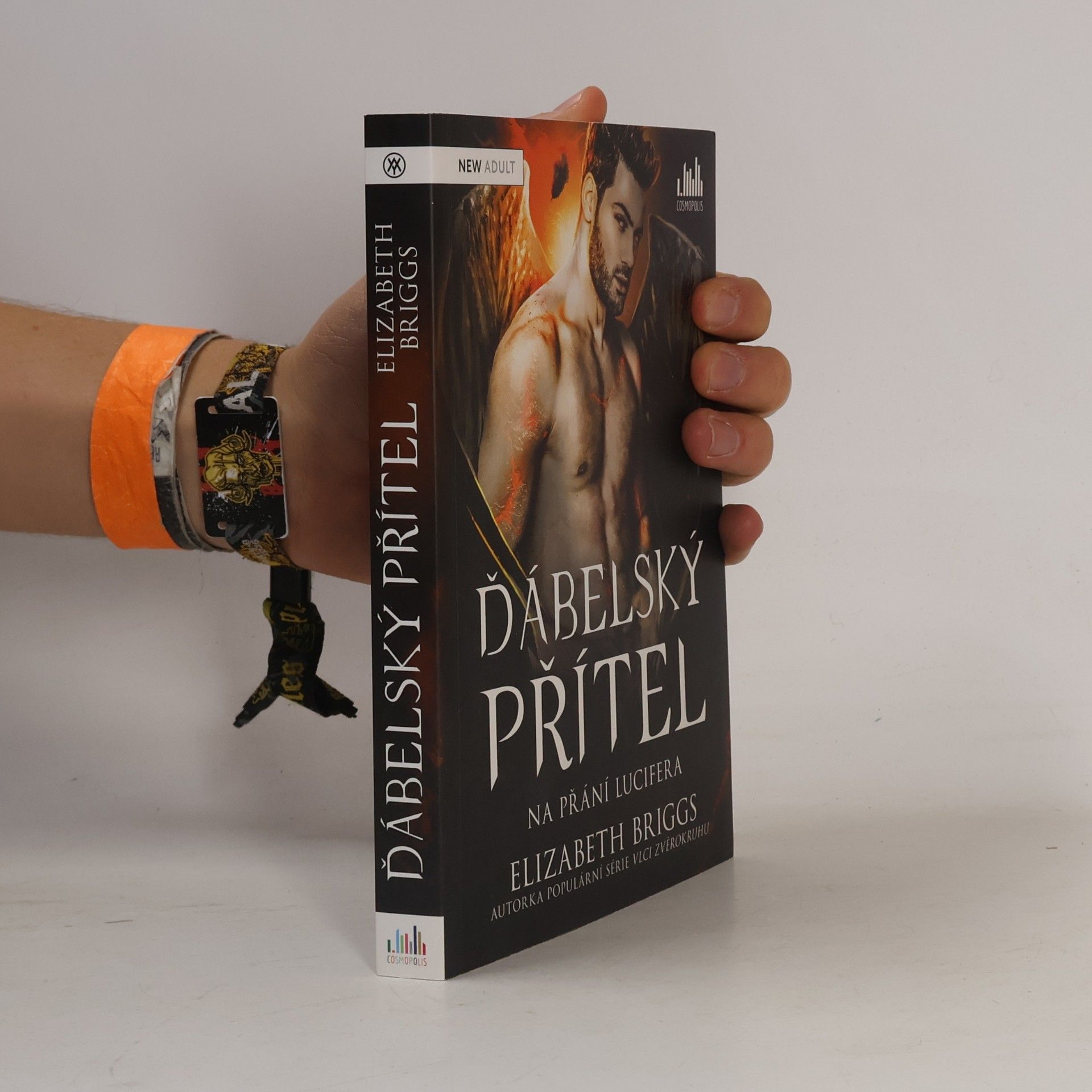 Elizabeth Briggs Ďábelský přítel. Na přání Lucifera