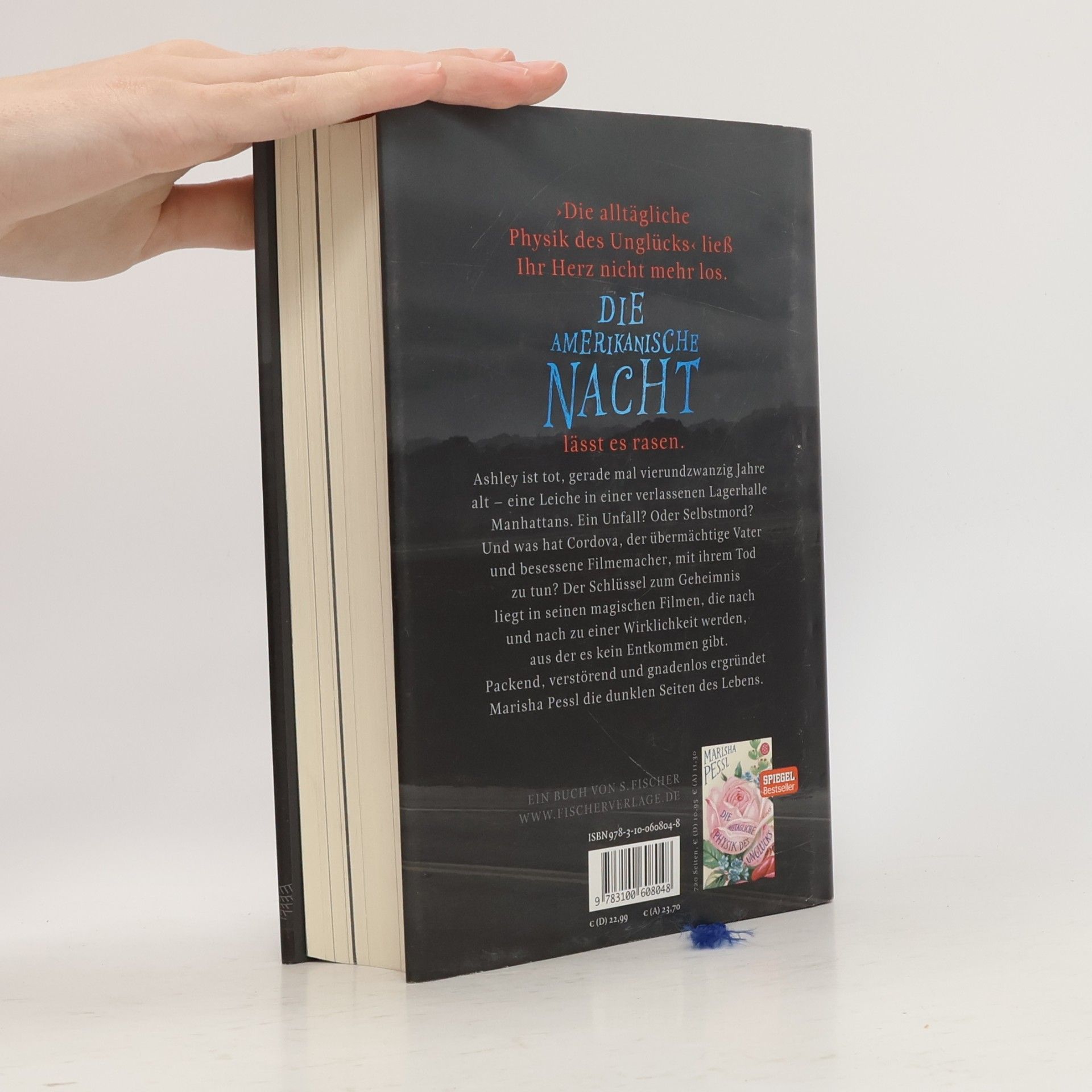 Marisha Pessl Die amerikanische Nacht