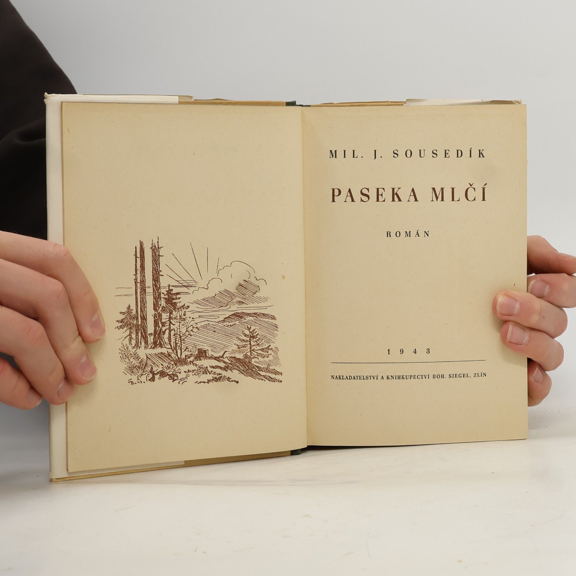 Miloslav J. Sousedík Paseka mlčí : Román