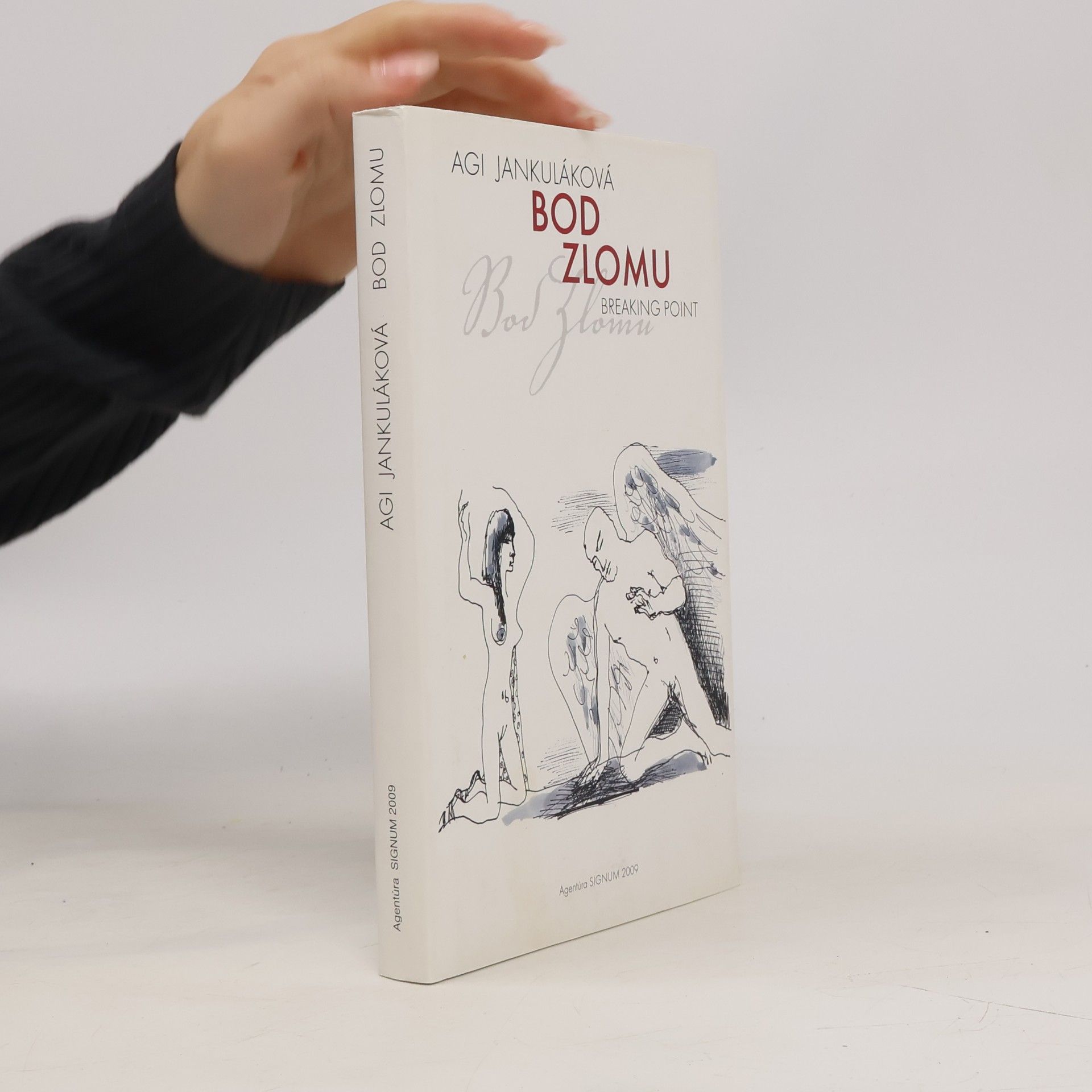 Bod zlomu