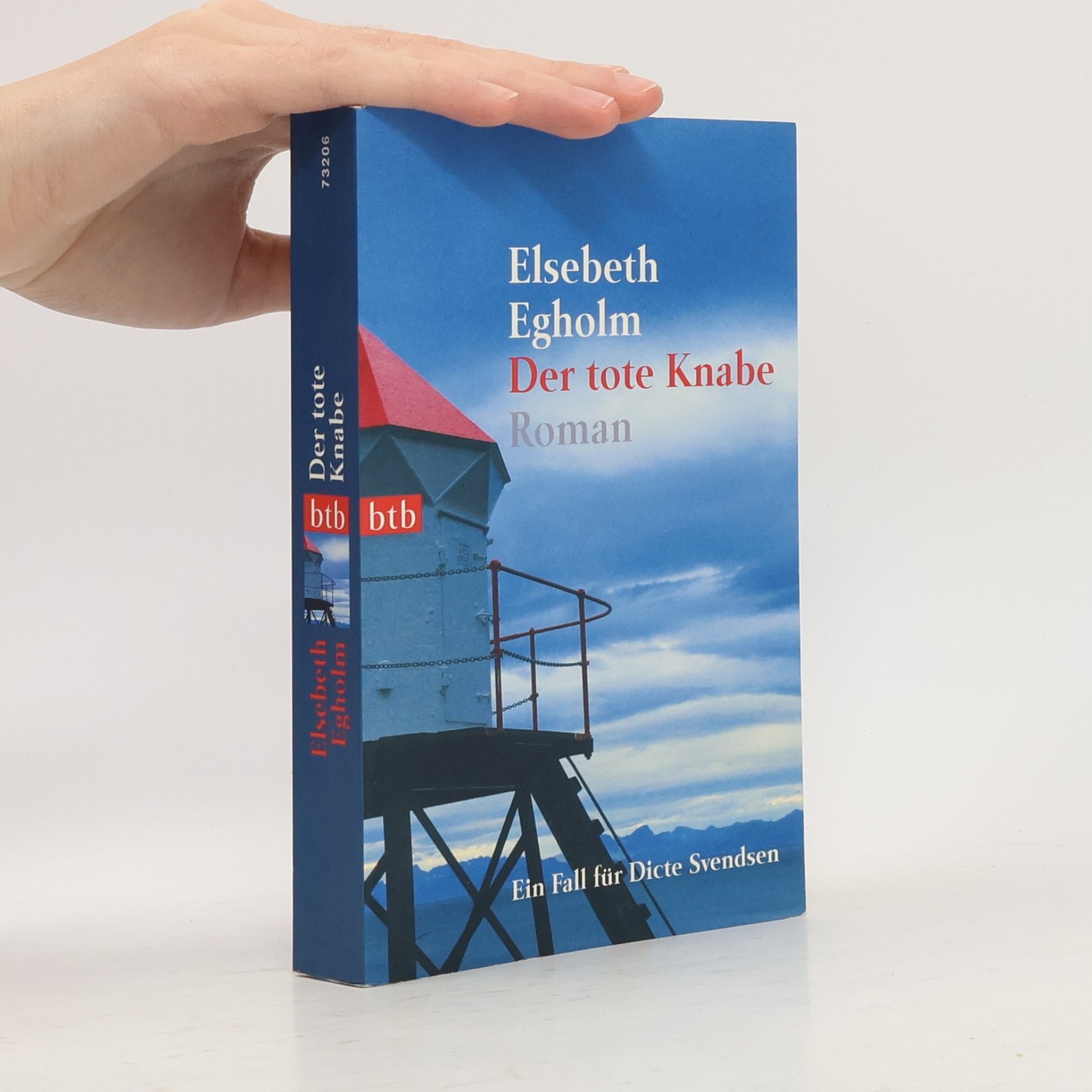 Der tote Knabe. Ein Fall für Dicte Svendsen