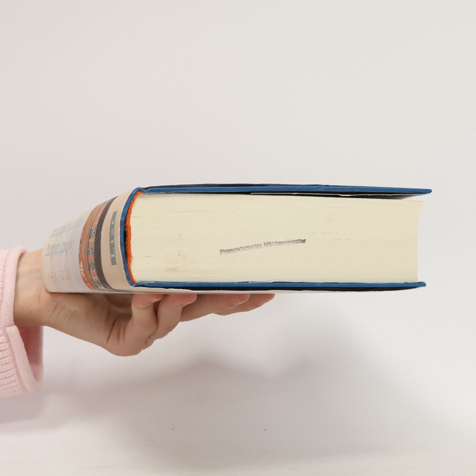 Heidi Rehn Die Buchhandlung in der Amalienstraße