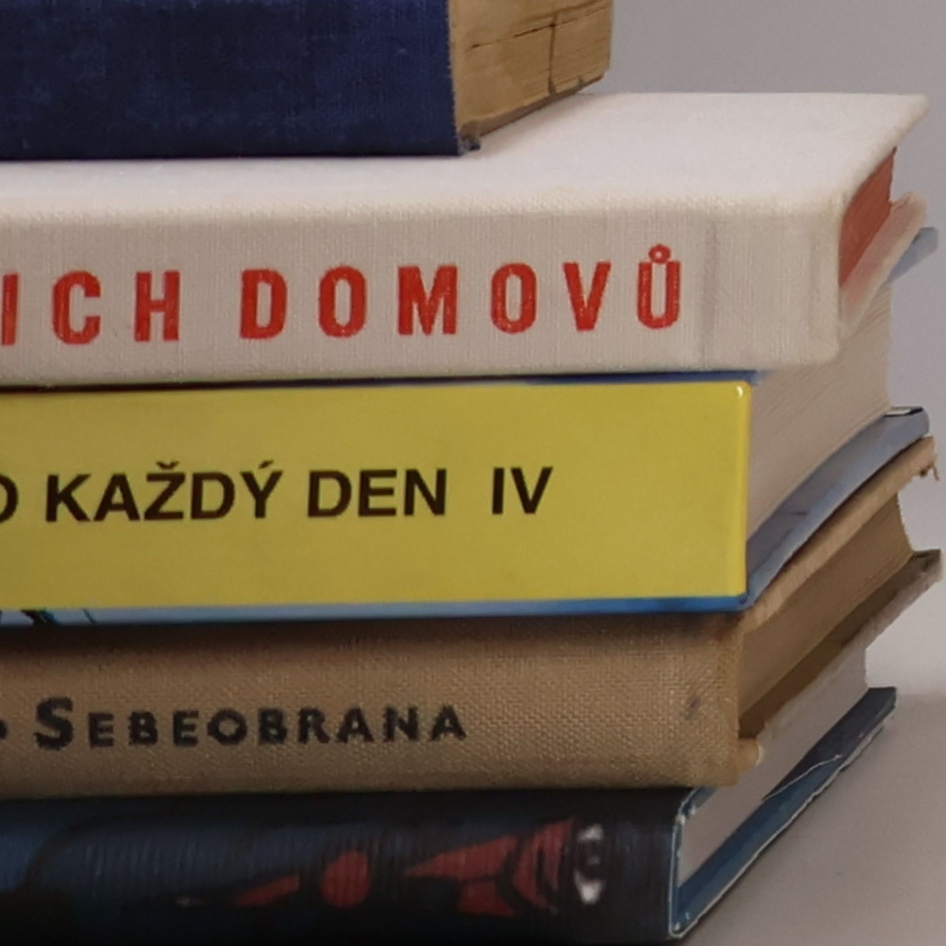 Patricia Vandenberg V poslední minutě
