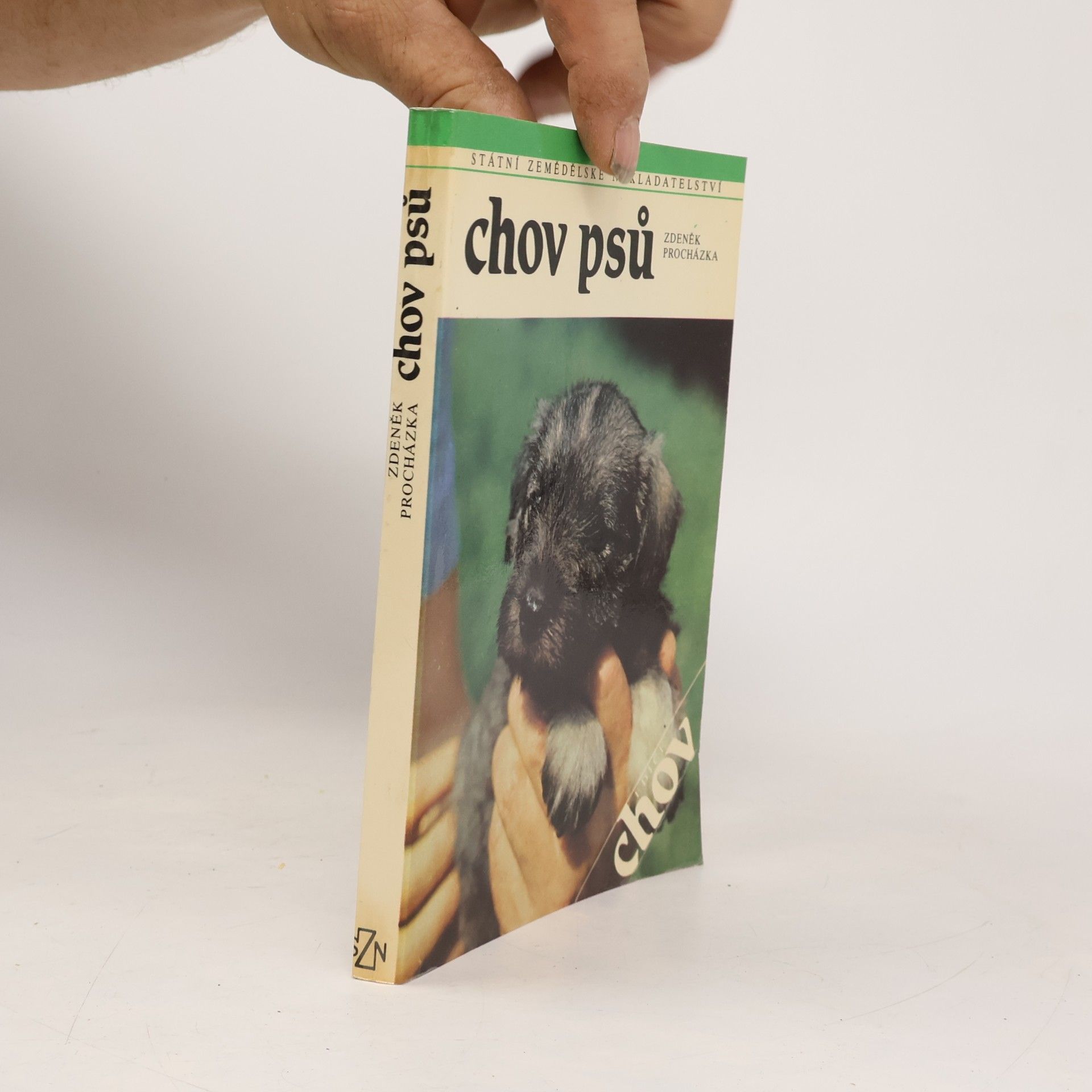 Chov psů