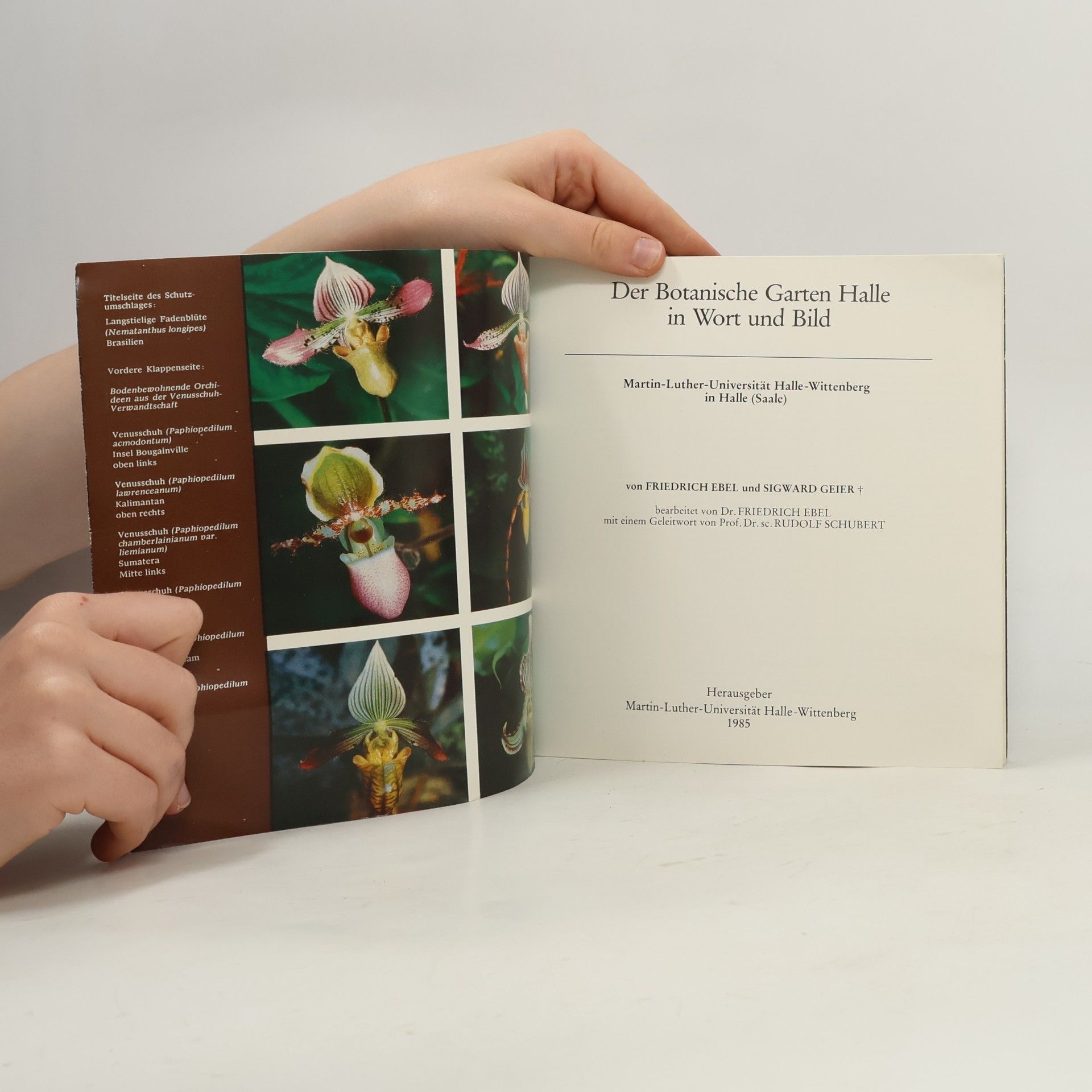 Friedrich Ebel Der Botanische Garten Halle in Wort und Bild