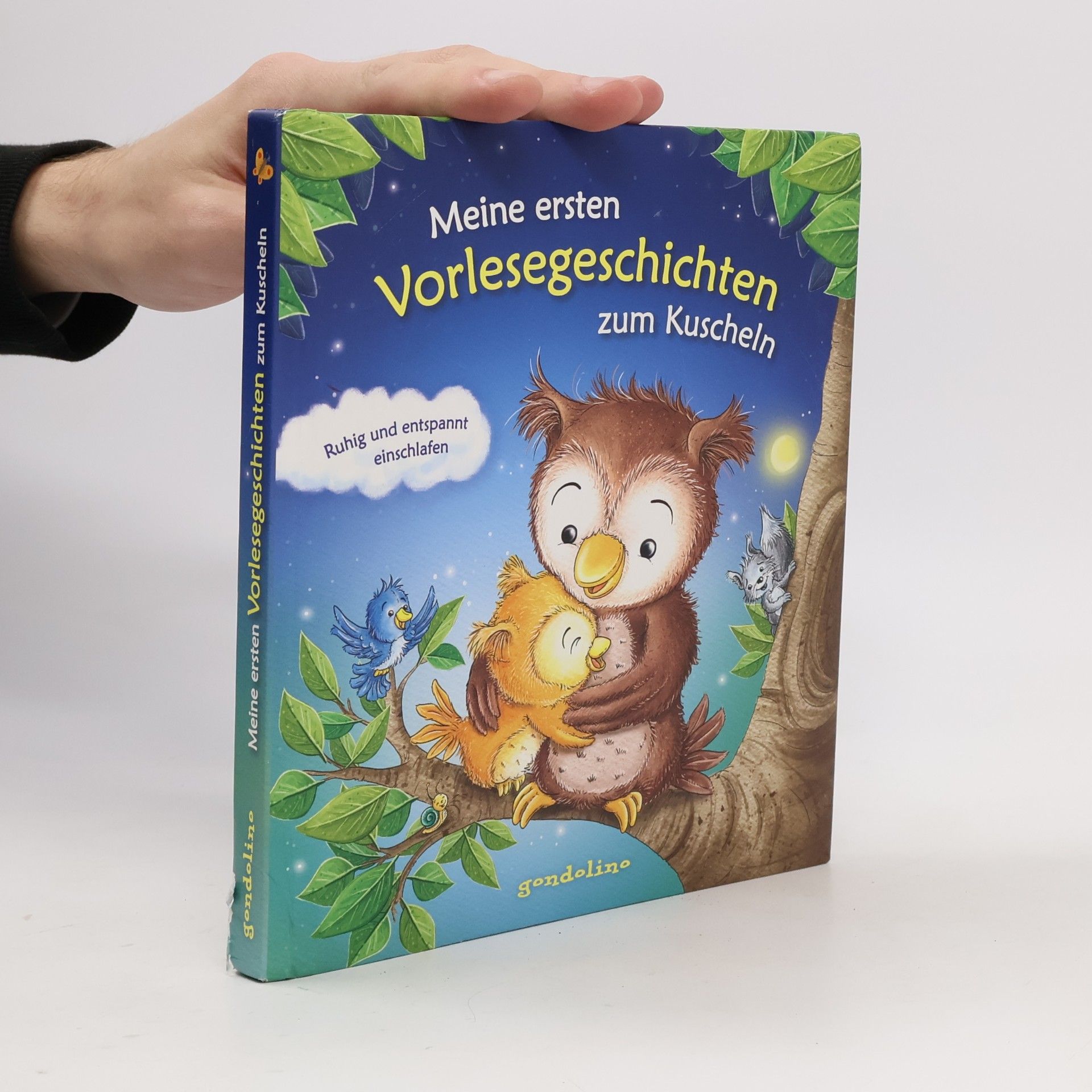 Meine ersten Vorlesegeschichten zum Kuscheln