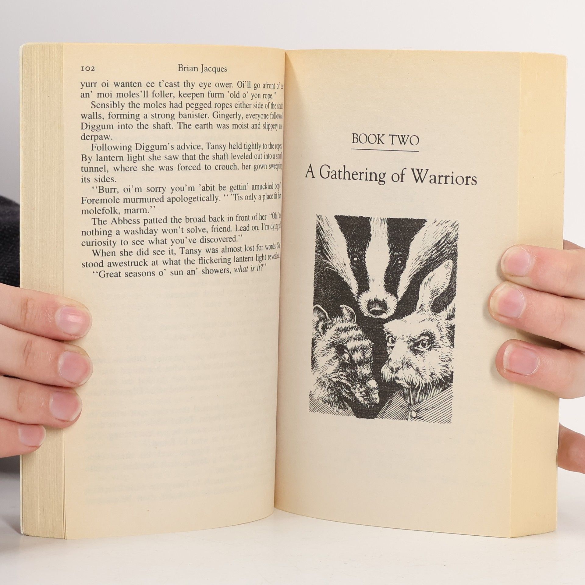 Brian Jacques The Long Patrol