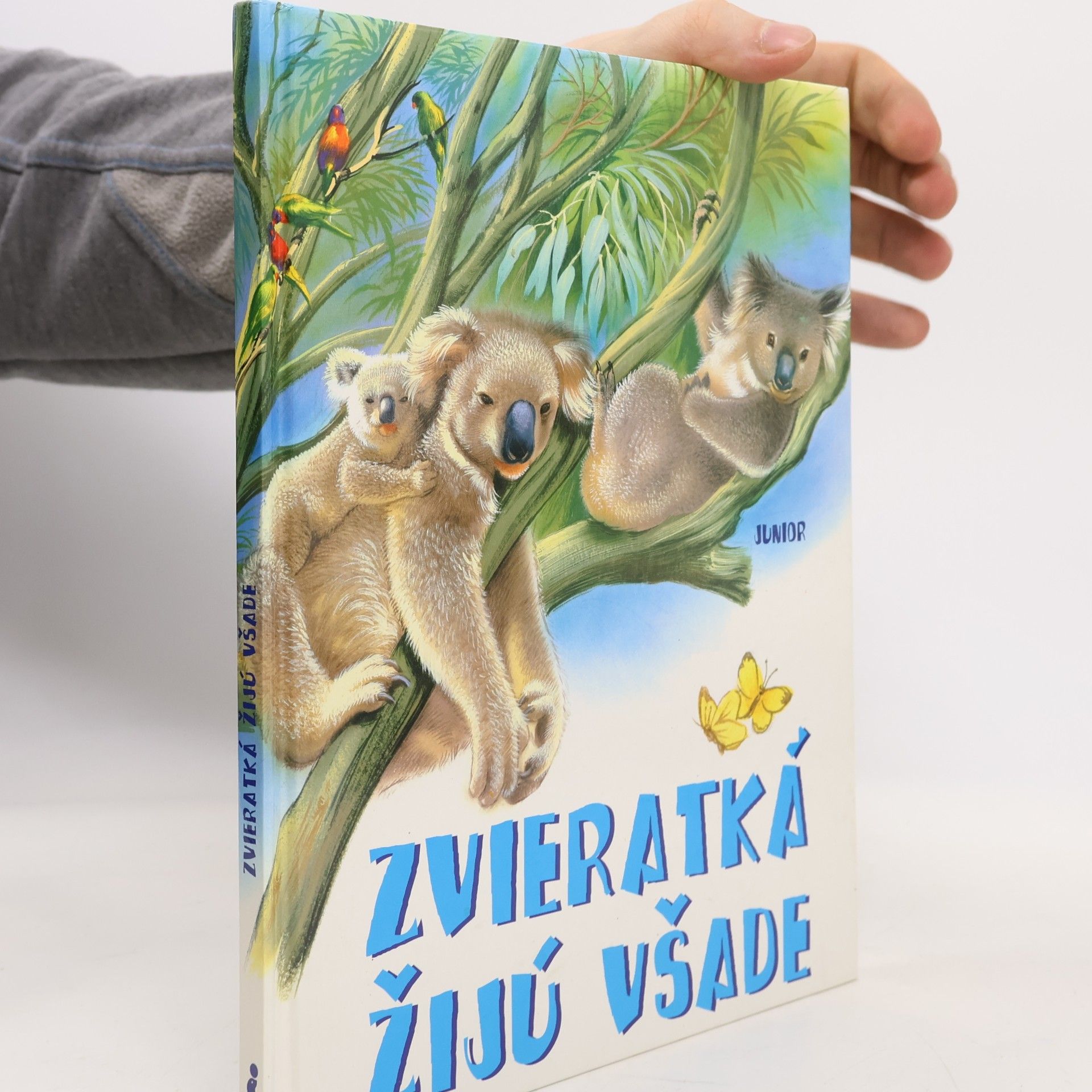 Autorenkollektiv Zvieratká žijú všade