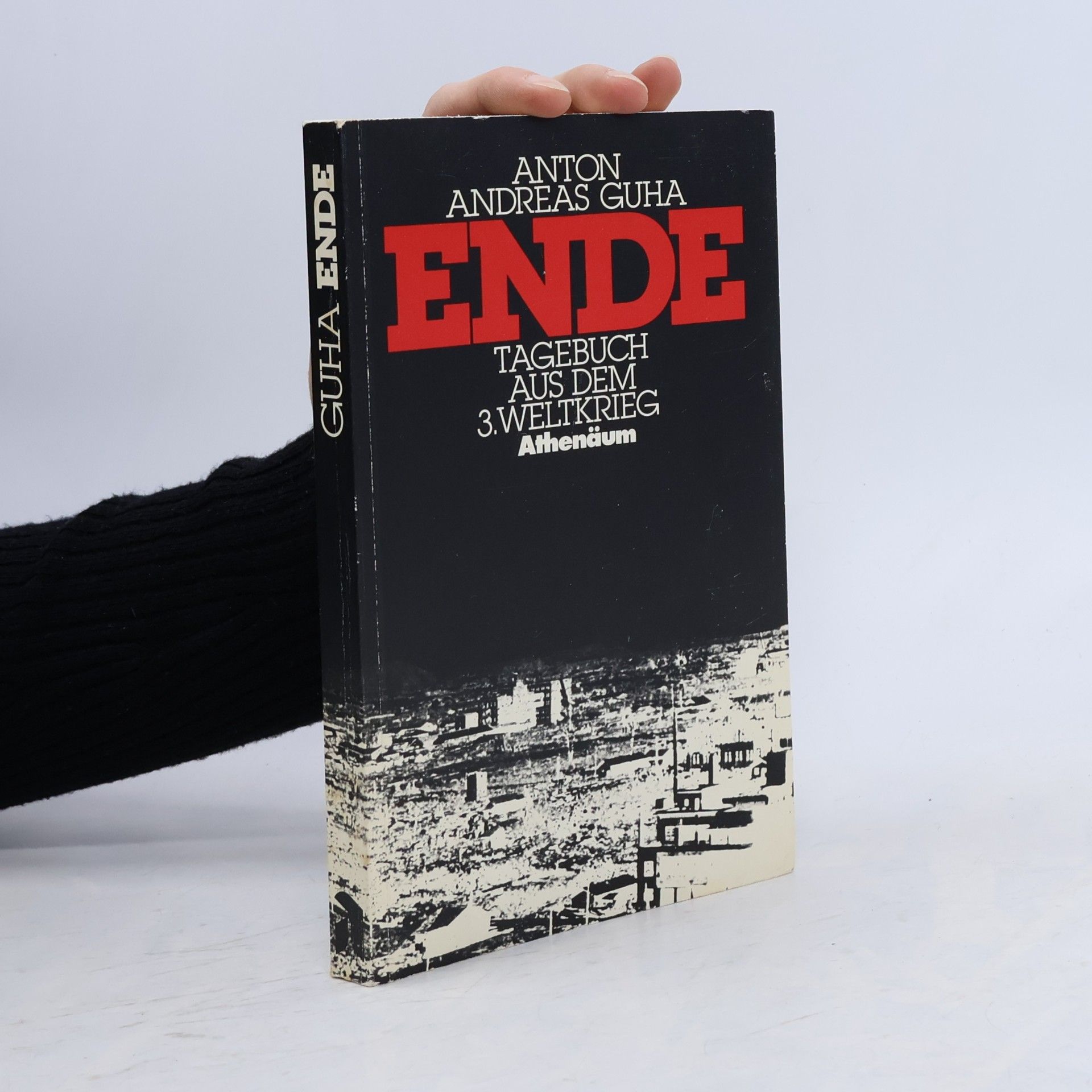 Ende. Tagebuch aus dem Dritten Weltkrieg