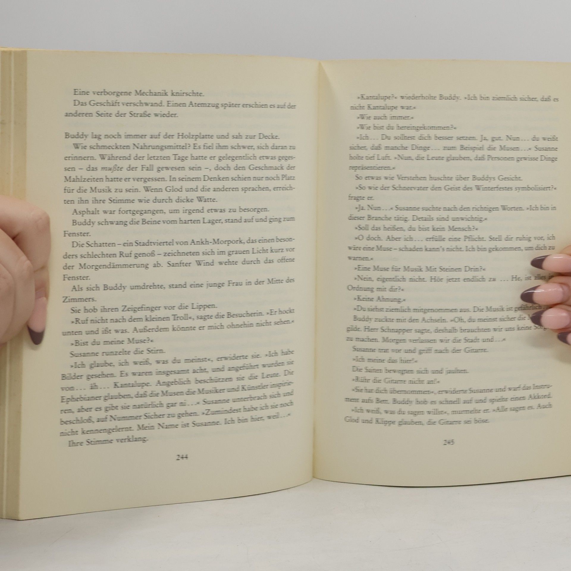 Terry Pratchett Rollende Steine