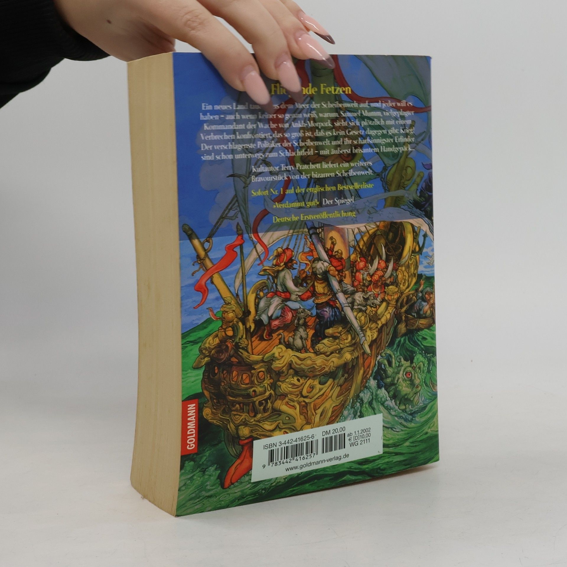 Terry Pratchett Fliegende Fetzen
