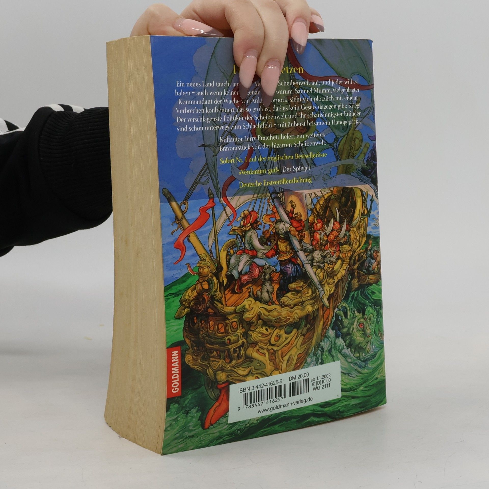 Terry Pratchett Fliegende Fetzen