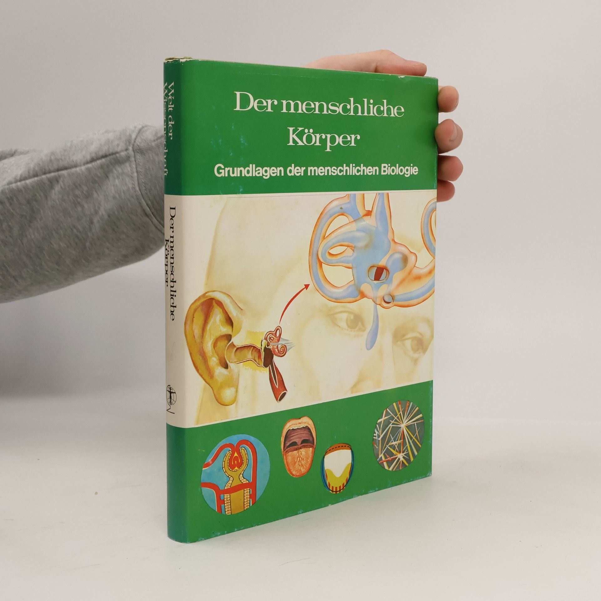 Der menschliche Körper. Grundlagen der menschlichen Biologie