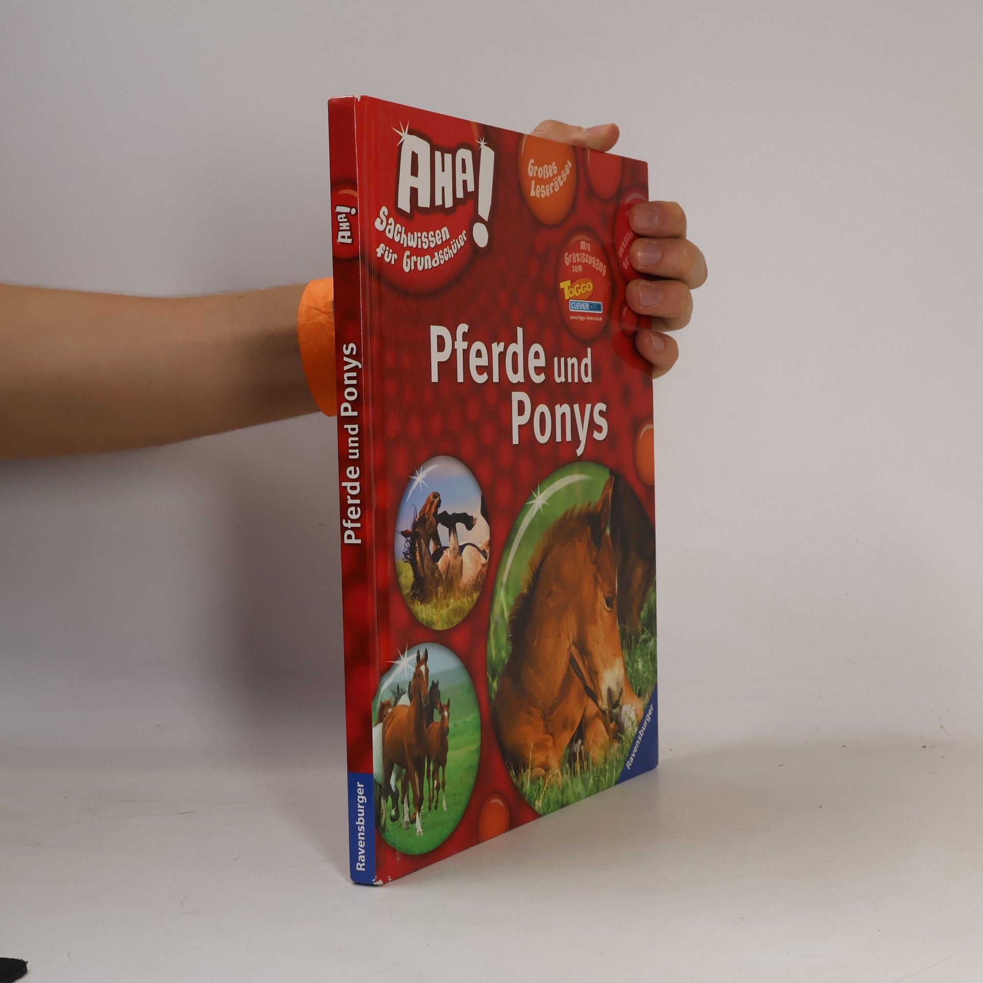 Pferde und Ponys