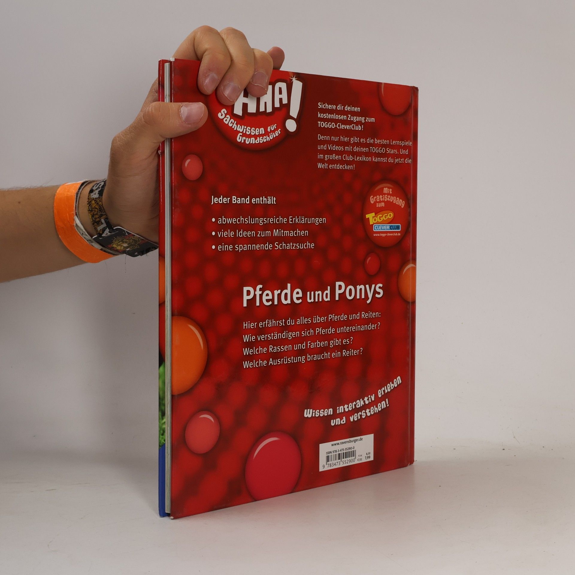 Martina Gorgas Pferde und Ponys