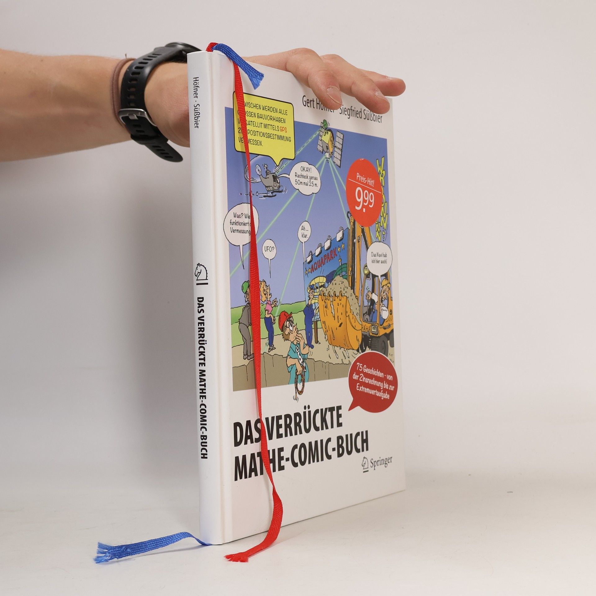 Gert Höfner Das verrückte Mathe-Comic-Buch
