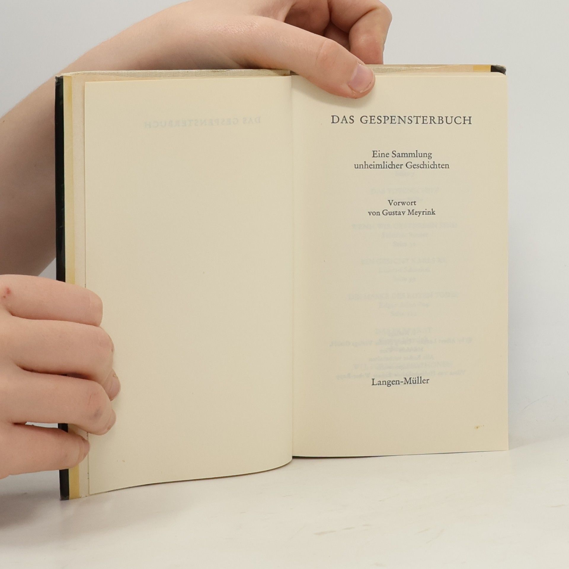 Gustav Meyrink Das Gespensterbuch