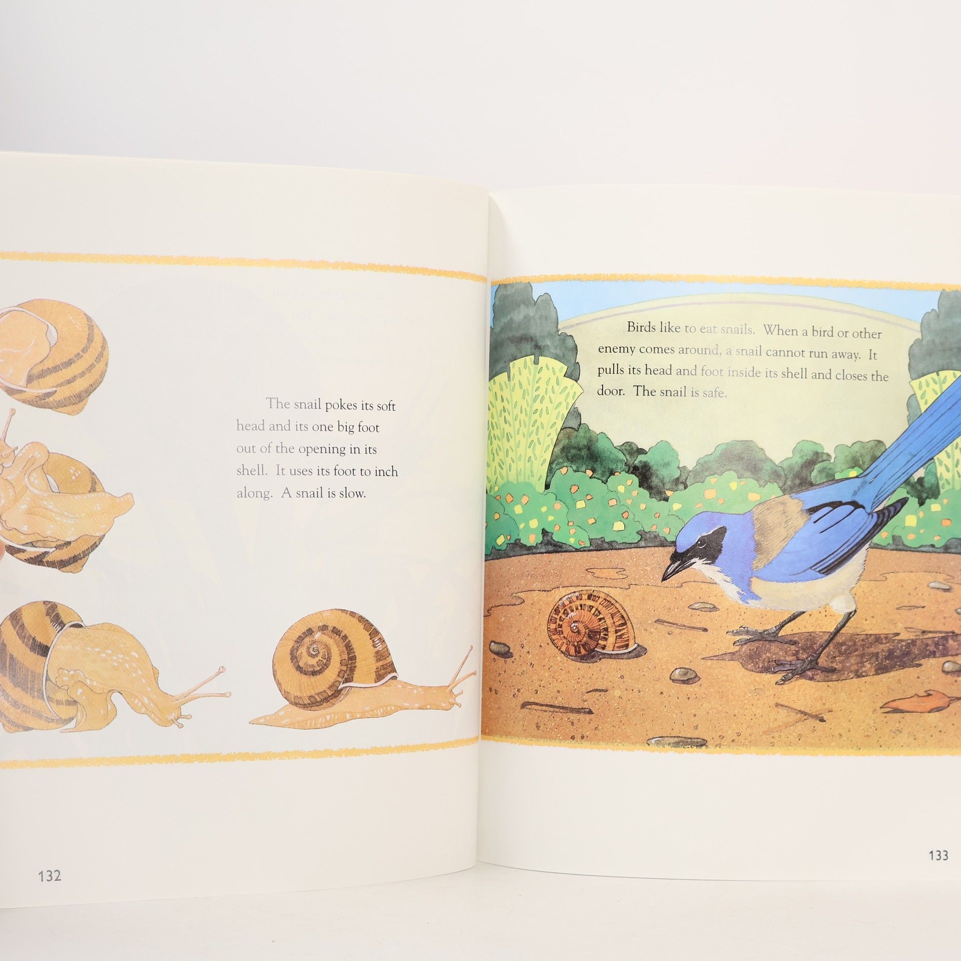 J. David Cooper Invitations to Literacy: Be a Nature Detective