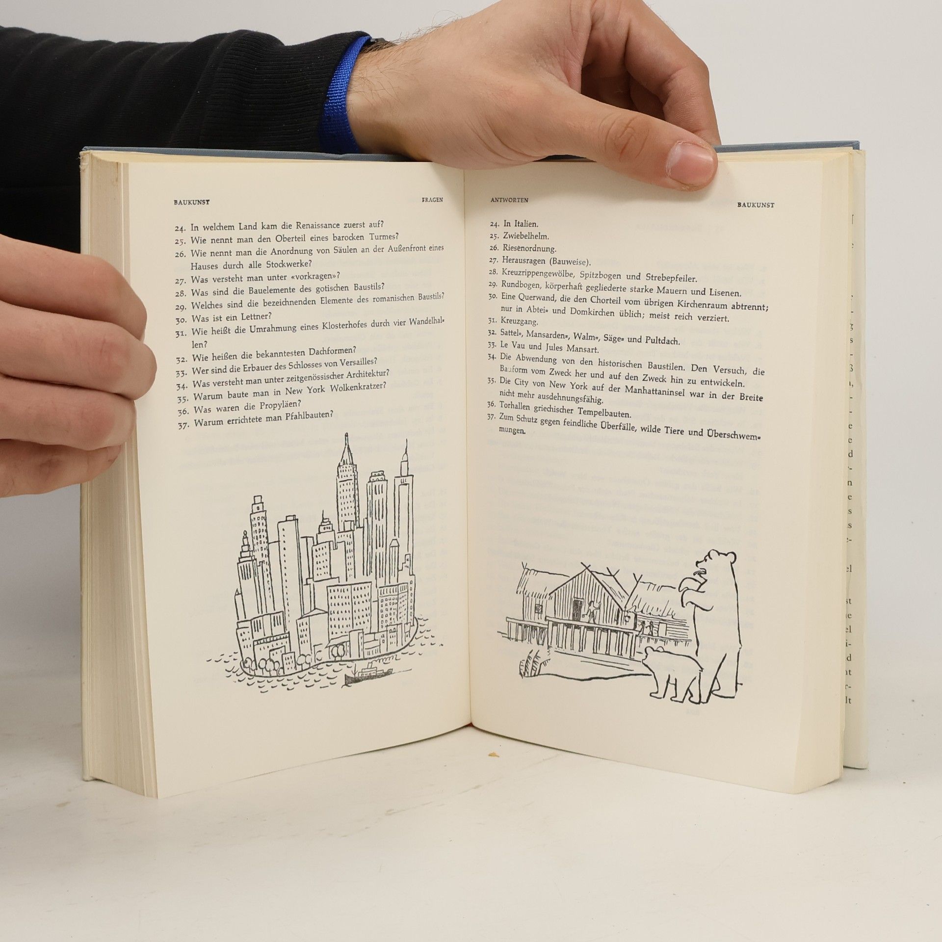 Lothar Heinemann Das dicke Quizbuch