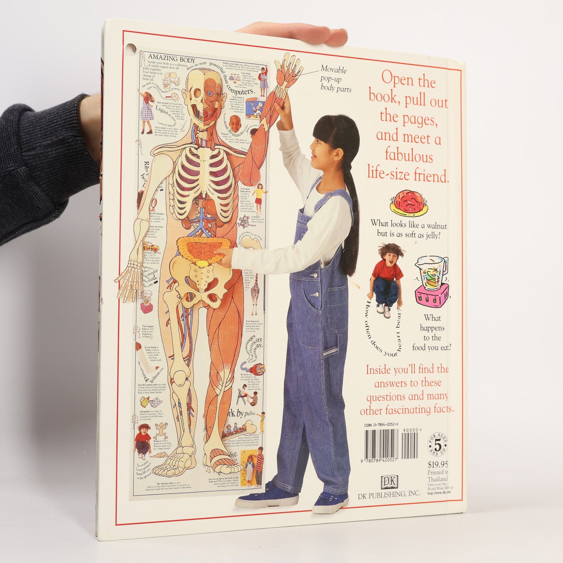 David Hawcock The Amazing Pull-Out Pop-Up Body in a Book