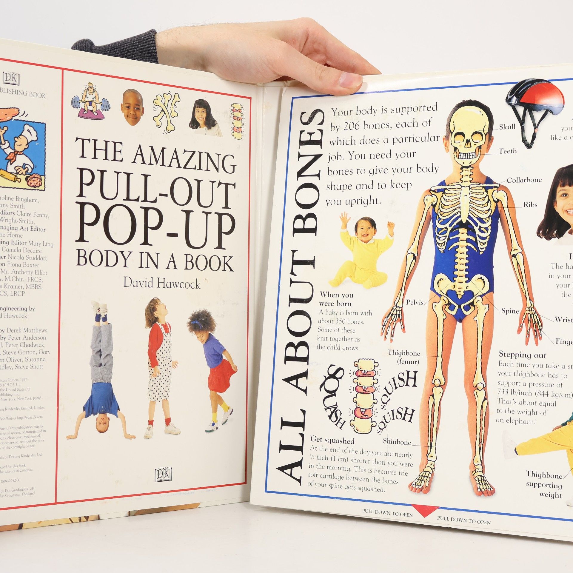David Hawcock The Amazing Pull-Out Pop-Up Body in a Book