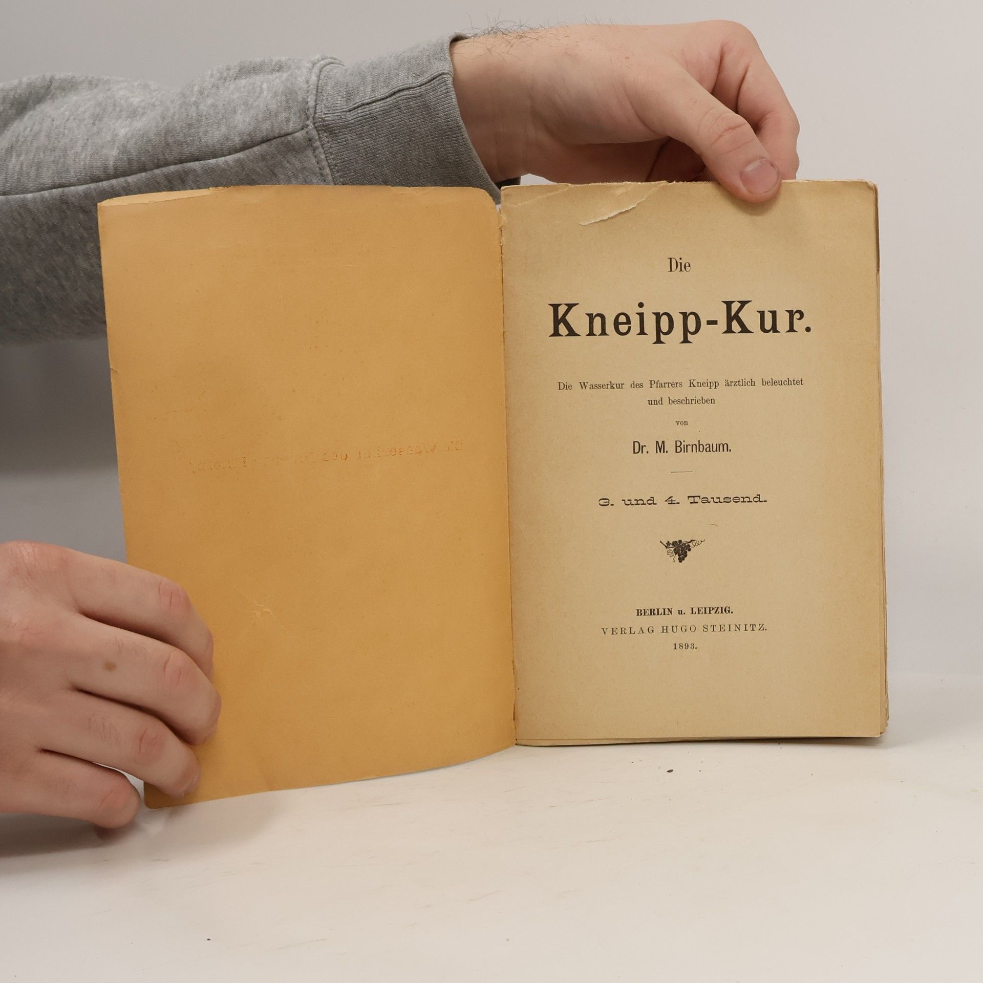 M. Birnbaum Die Kneipp-Kur