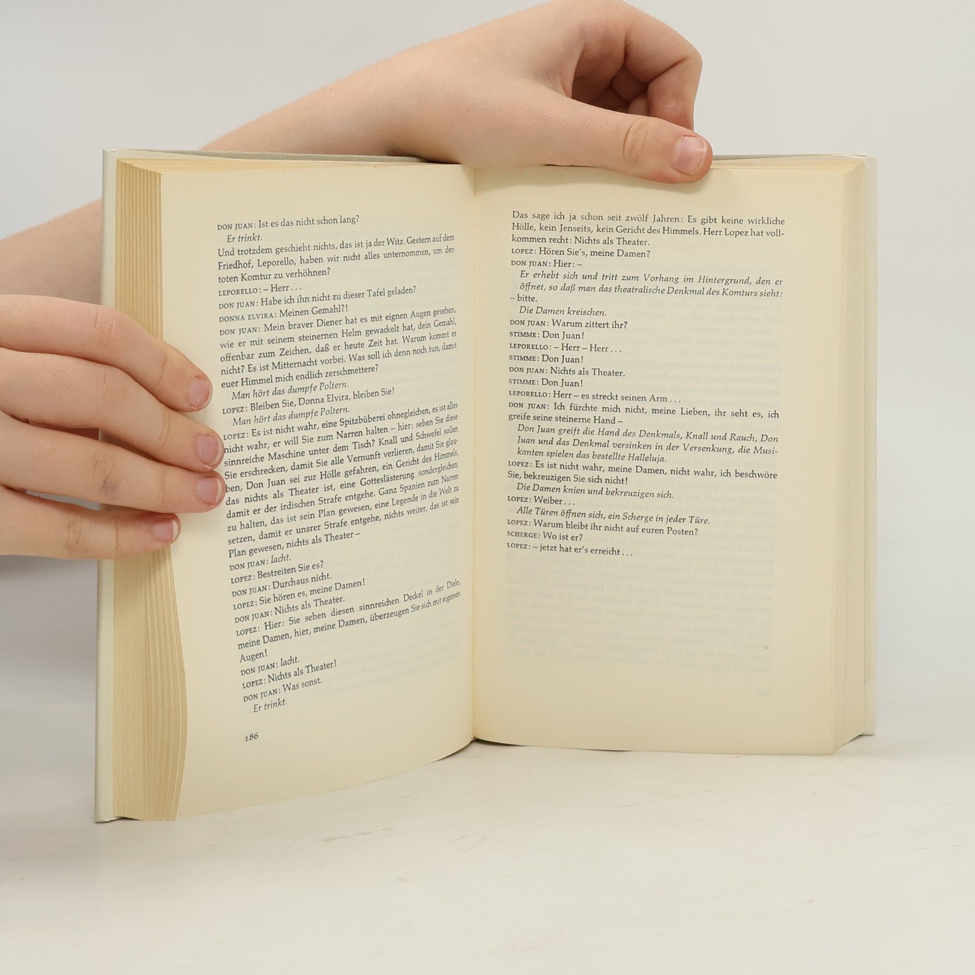 Max Frisch Dramen