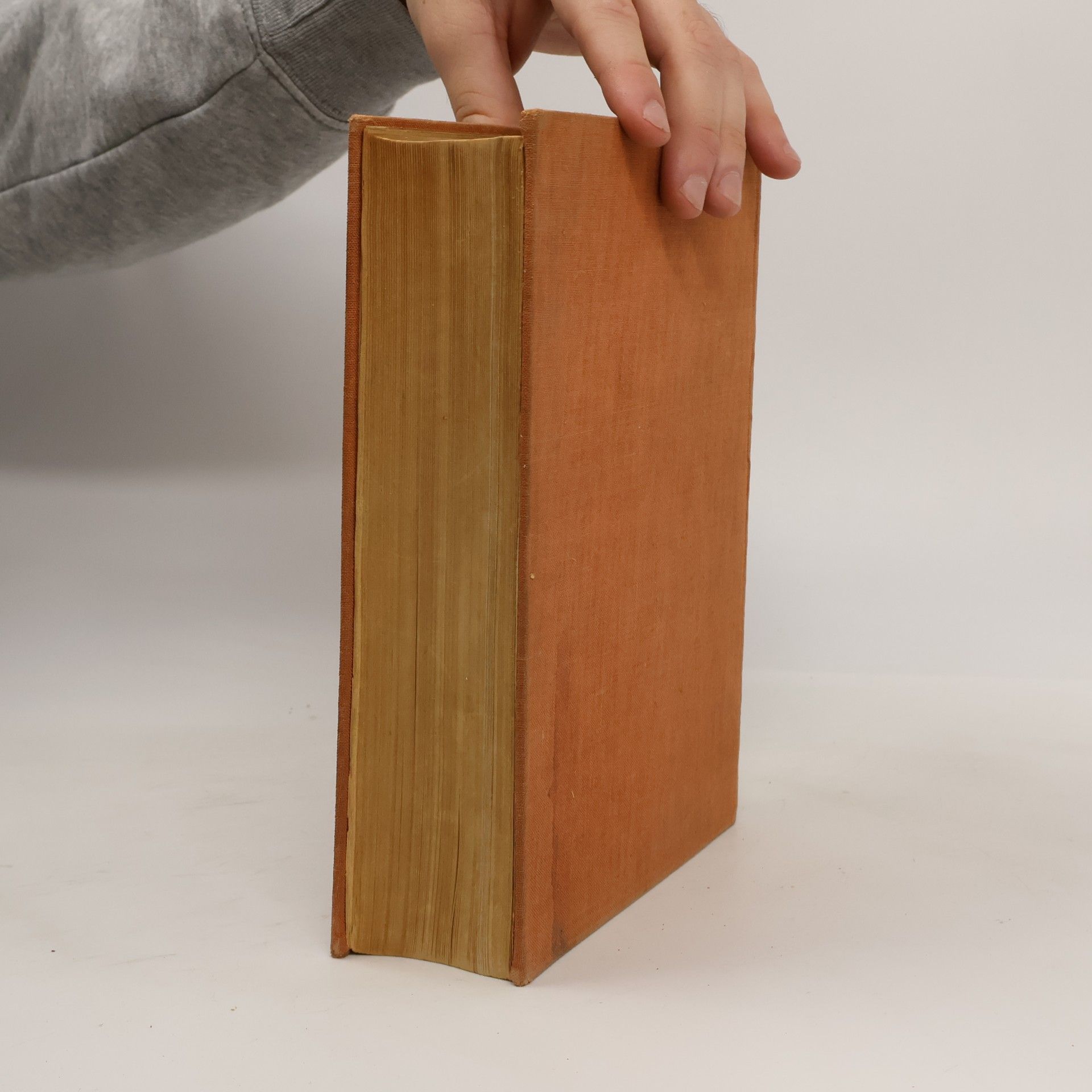 Sebastian Kneipp Das große Kneippbuch