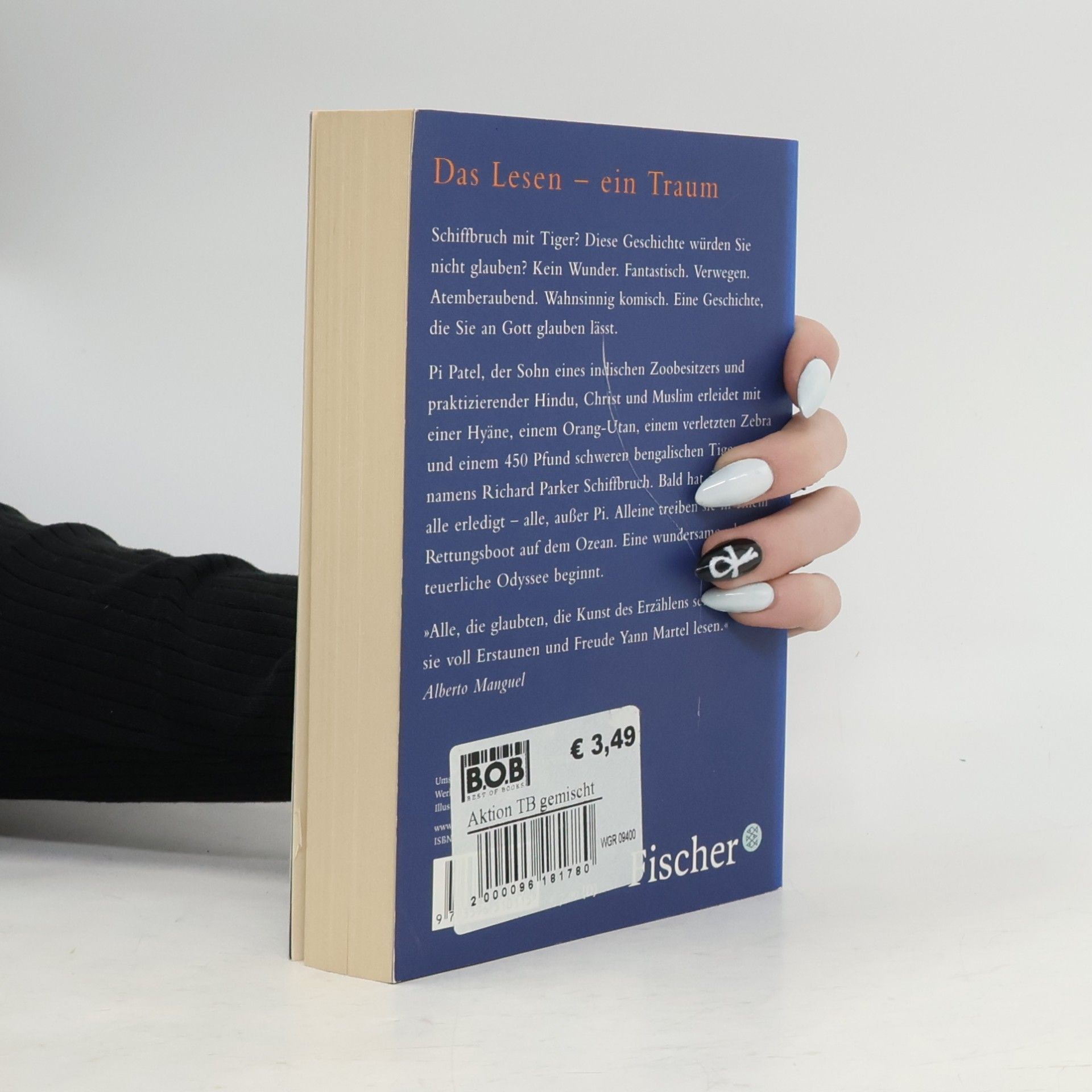 Yann Martel Schiffbruch mit Tiger